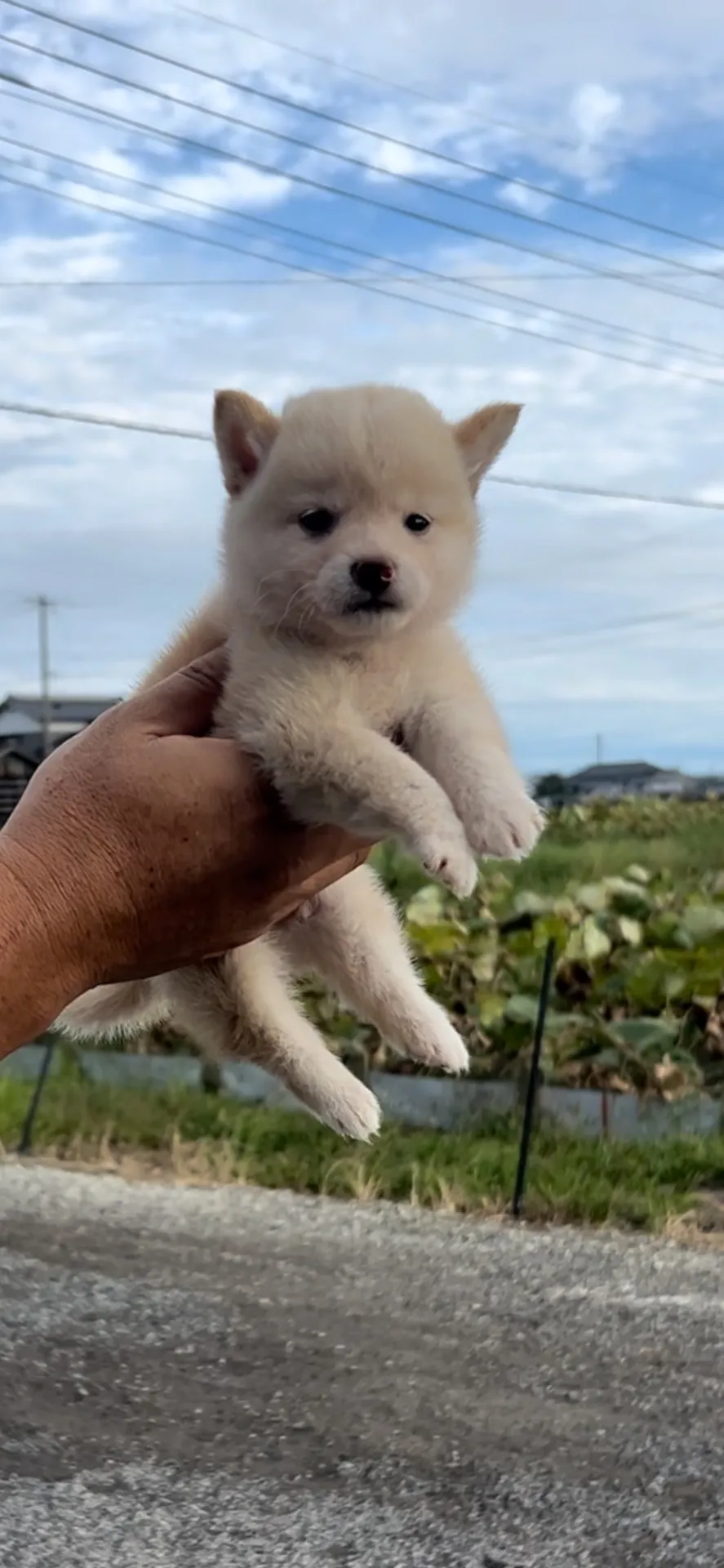 ご家族が決まりました。伊万里市お客様ありがとうございました。