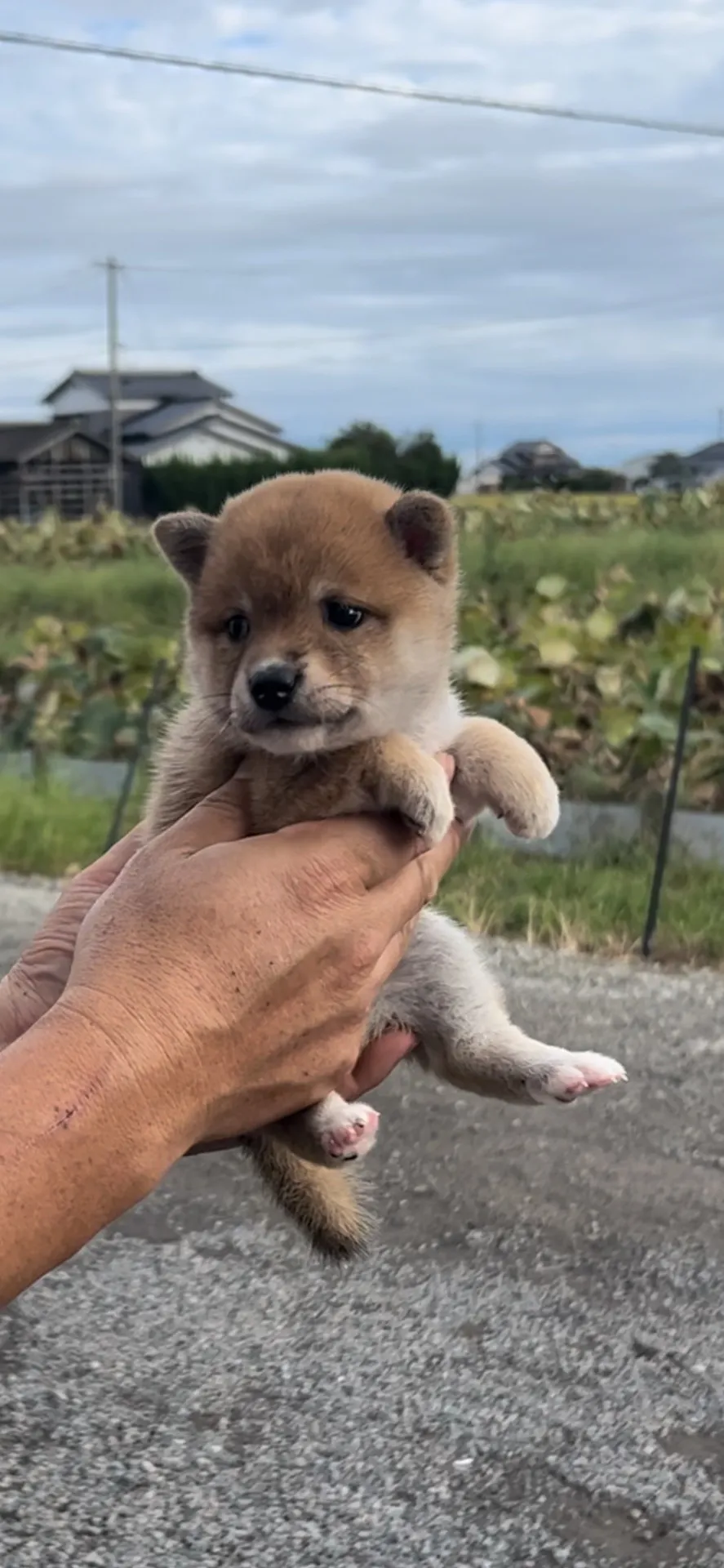 ご家族が決まりました。佐賀市お客様ありがとうございました。