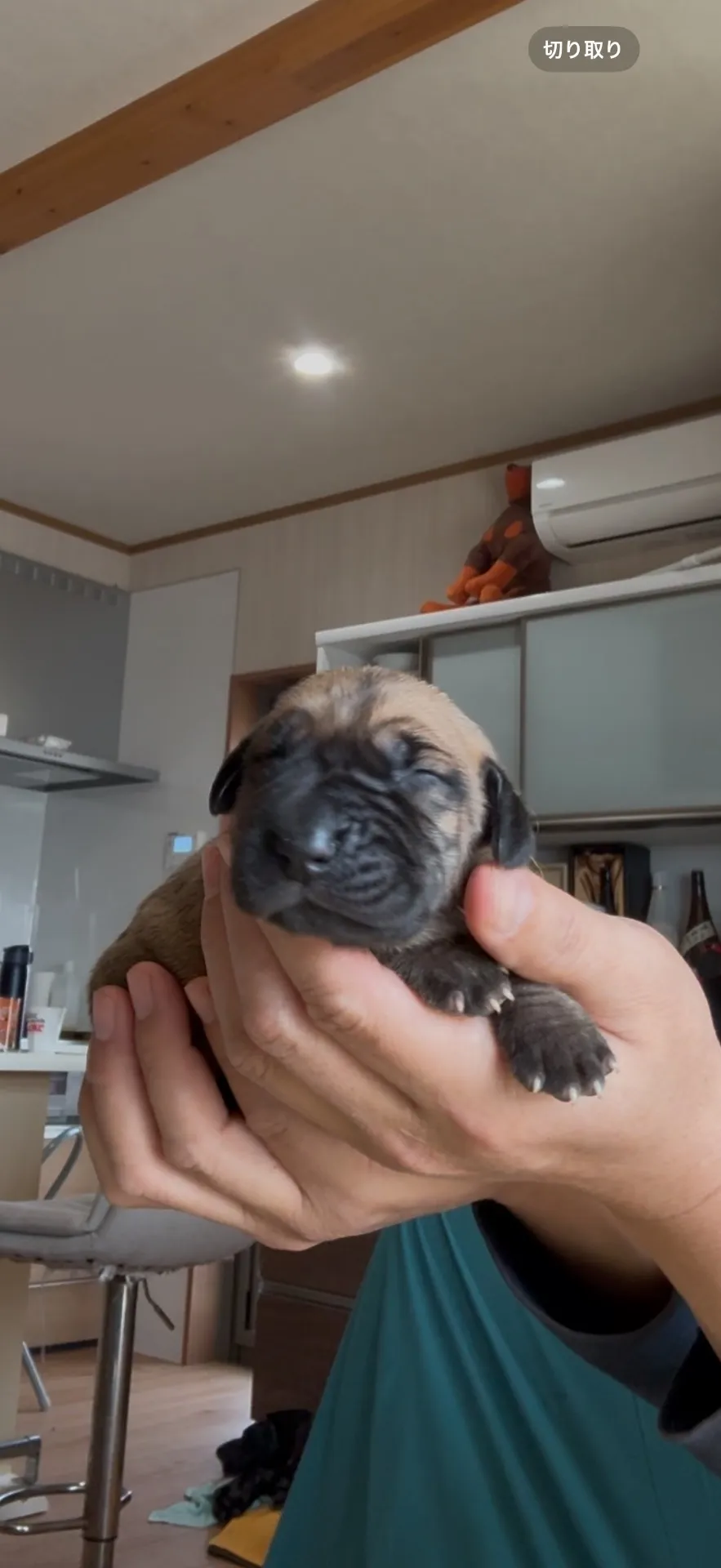 ご家族が決まりました。有田町お客様ありがとうございました。