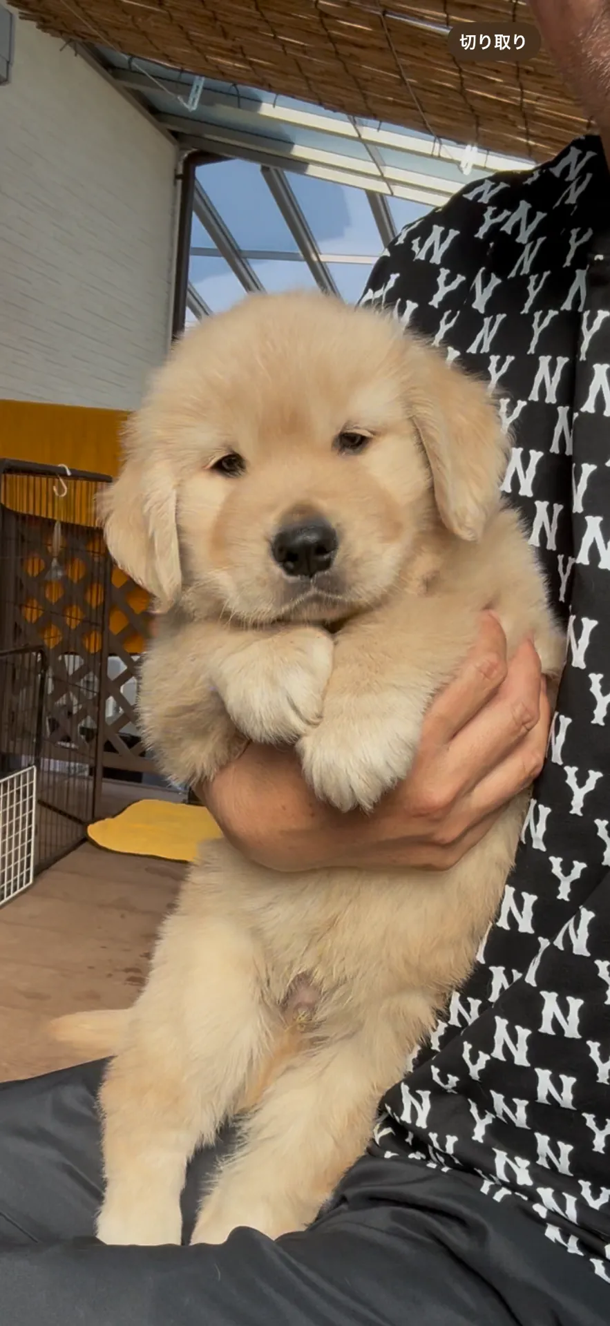 ご家族が決まりました。福岡県お客様ありがとうございました。