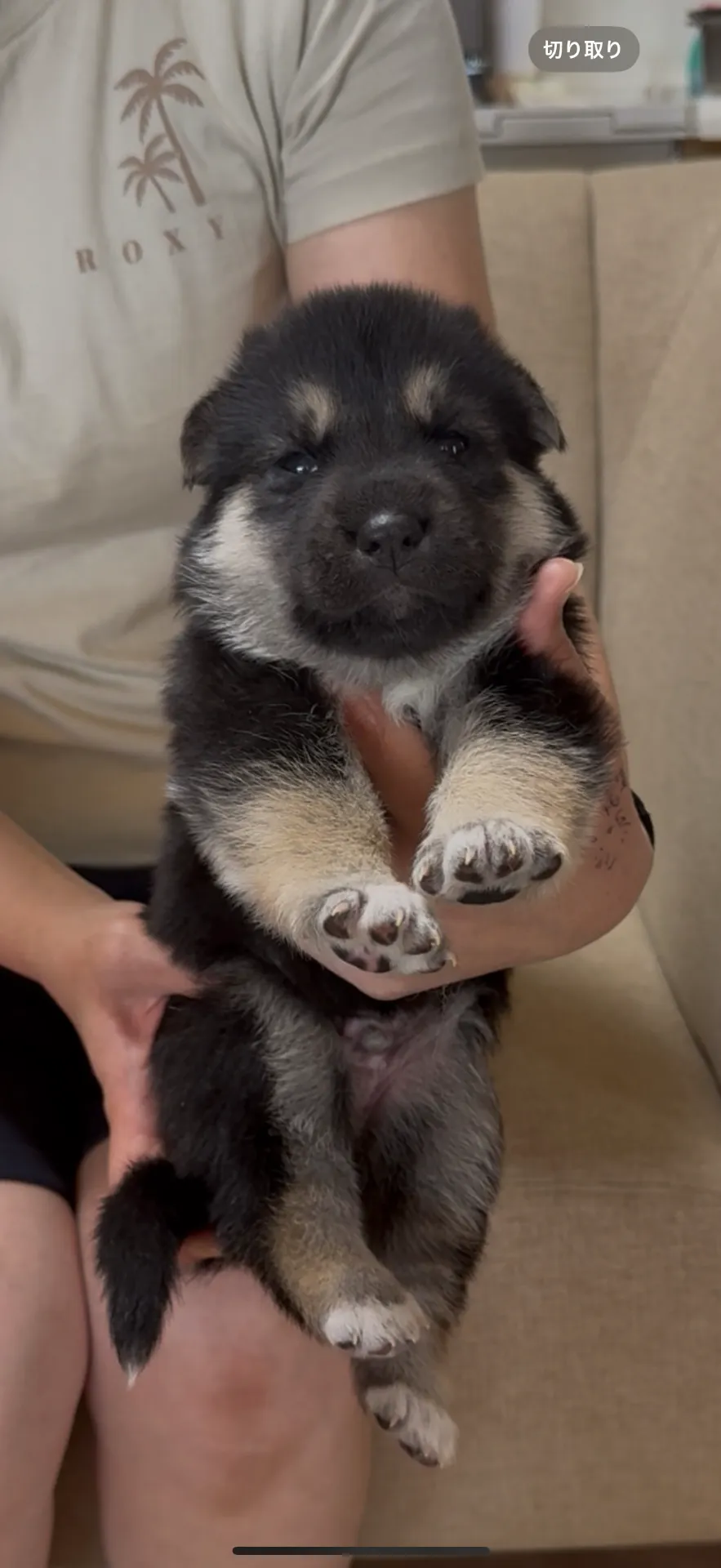ご家族が決まりました。福島県お客様ありがとうございました。