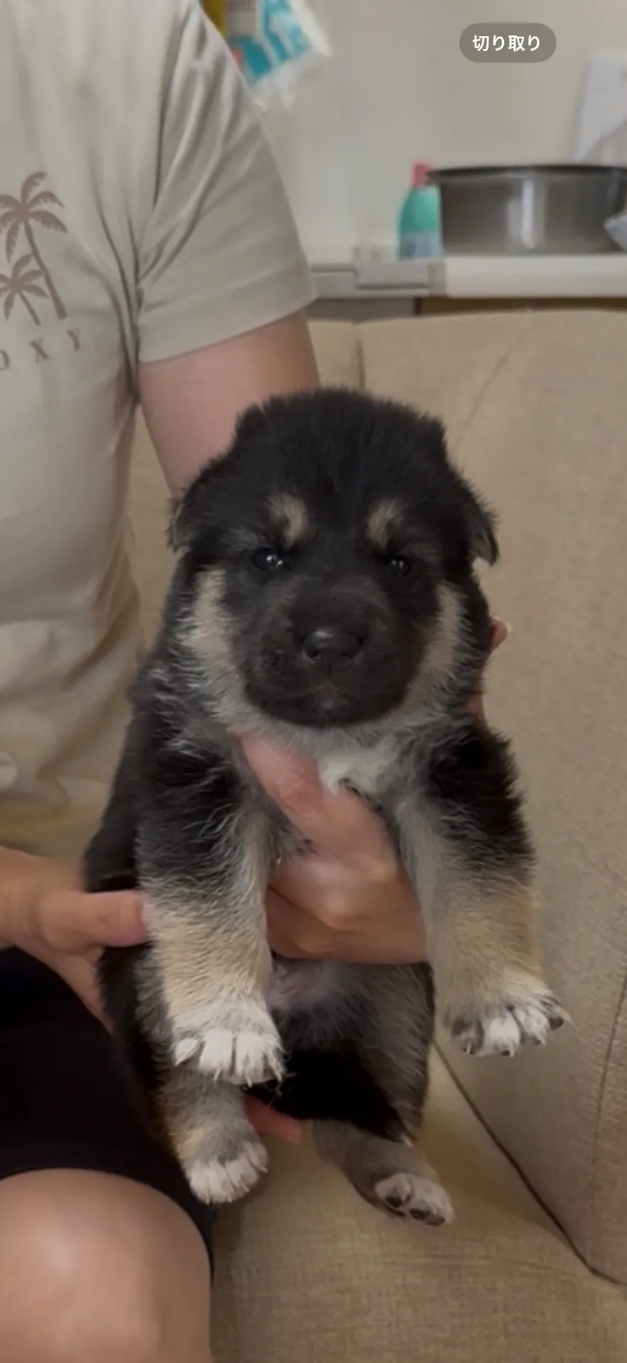ご家族が決まりました。滋賀県お客様ありがとうございました。