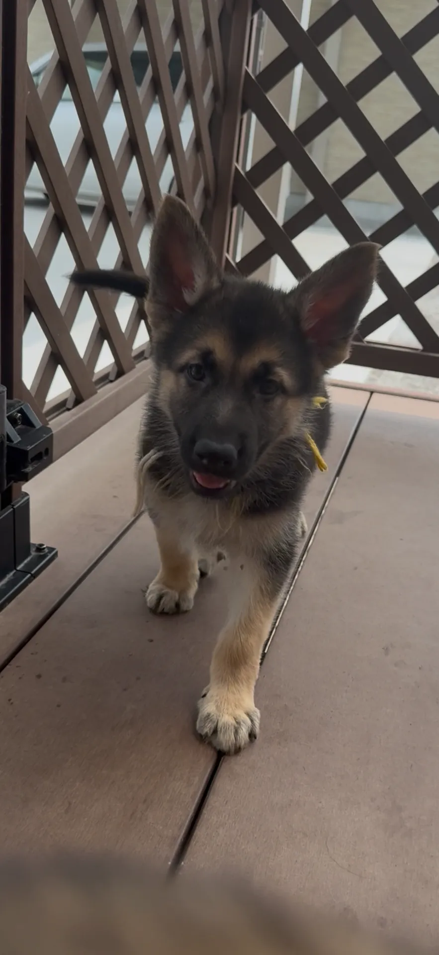 北海道お客様ありがとうございました。