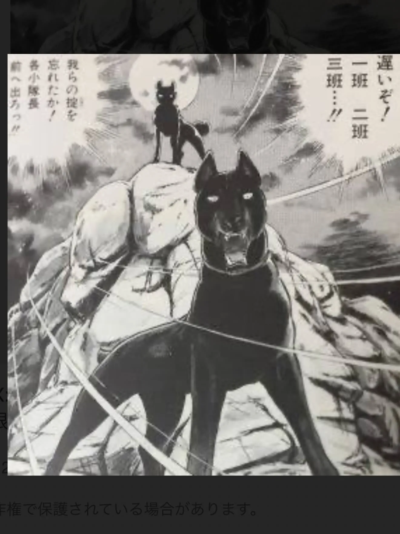 ⭐️　リアル銀牙流れ星銀　⭐️