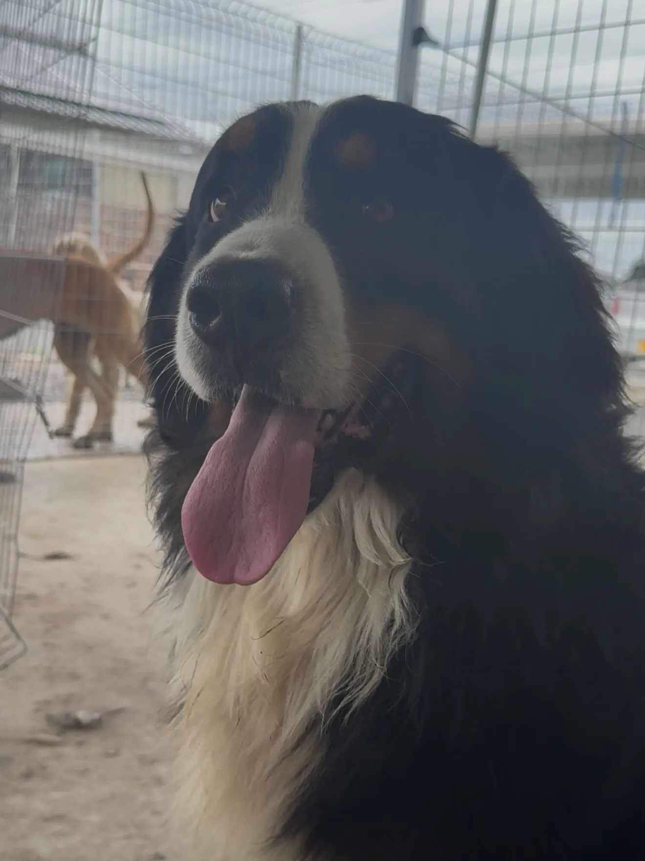 朝のひととき🐶