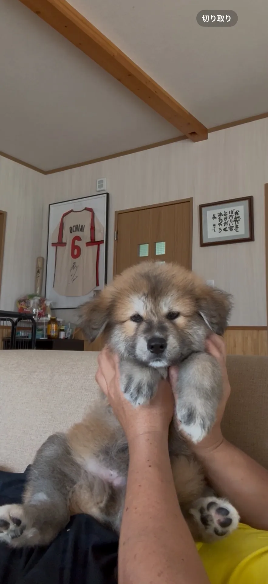 ご家族が決まりました。福岡県お客様ありがとうございました。