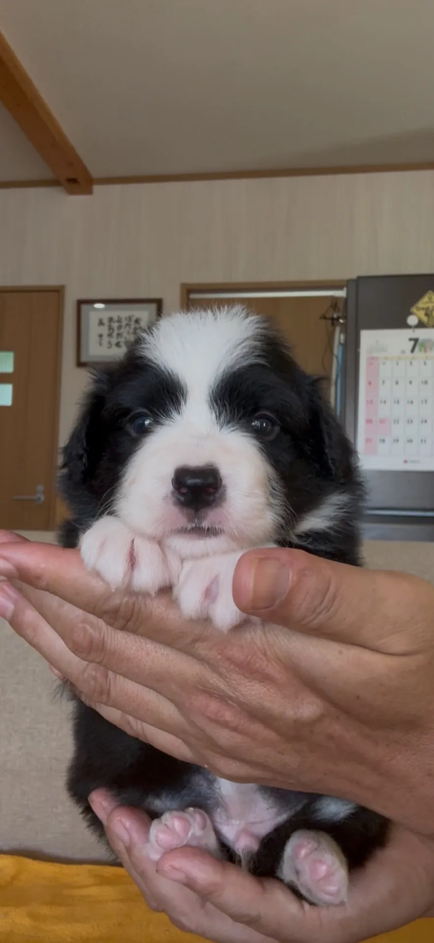 ご家族が決まりました。長崎県お客様ありがとうございました。