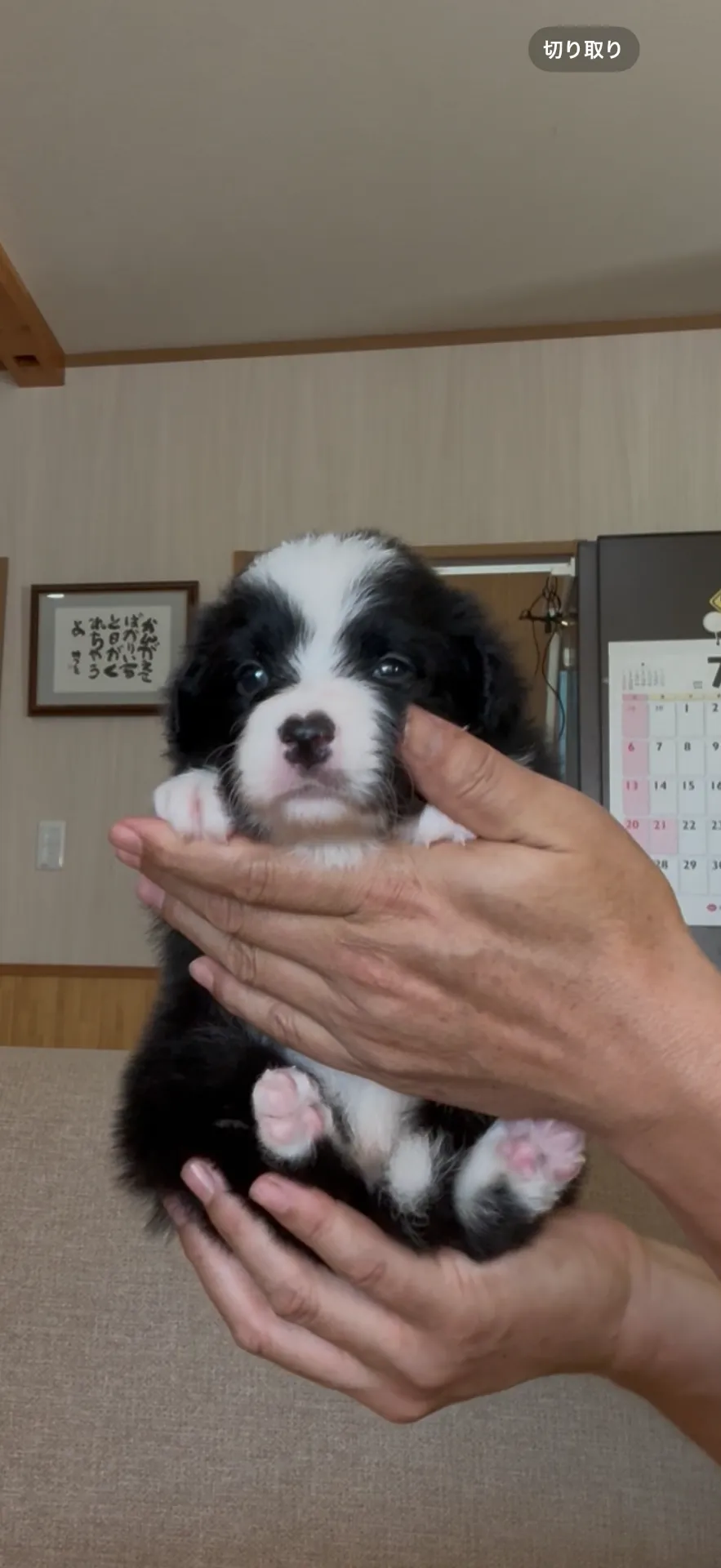 ご家族が決まりました。町内お客様ありがとうございました。