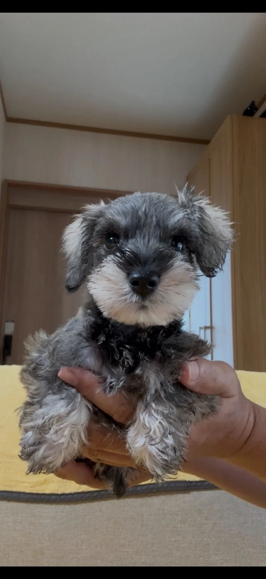 ご家族が決まりました。福岡県お客様ありがとうございました。