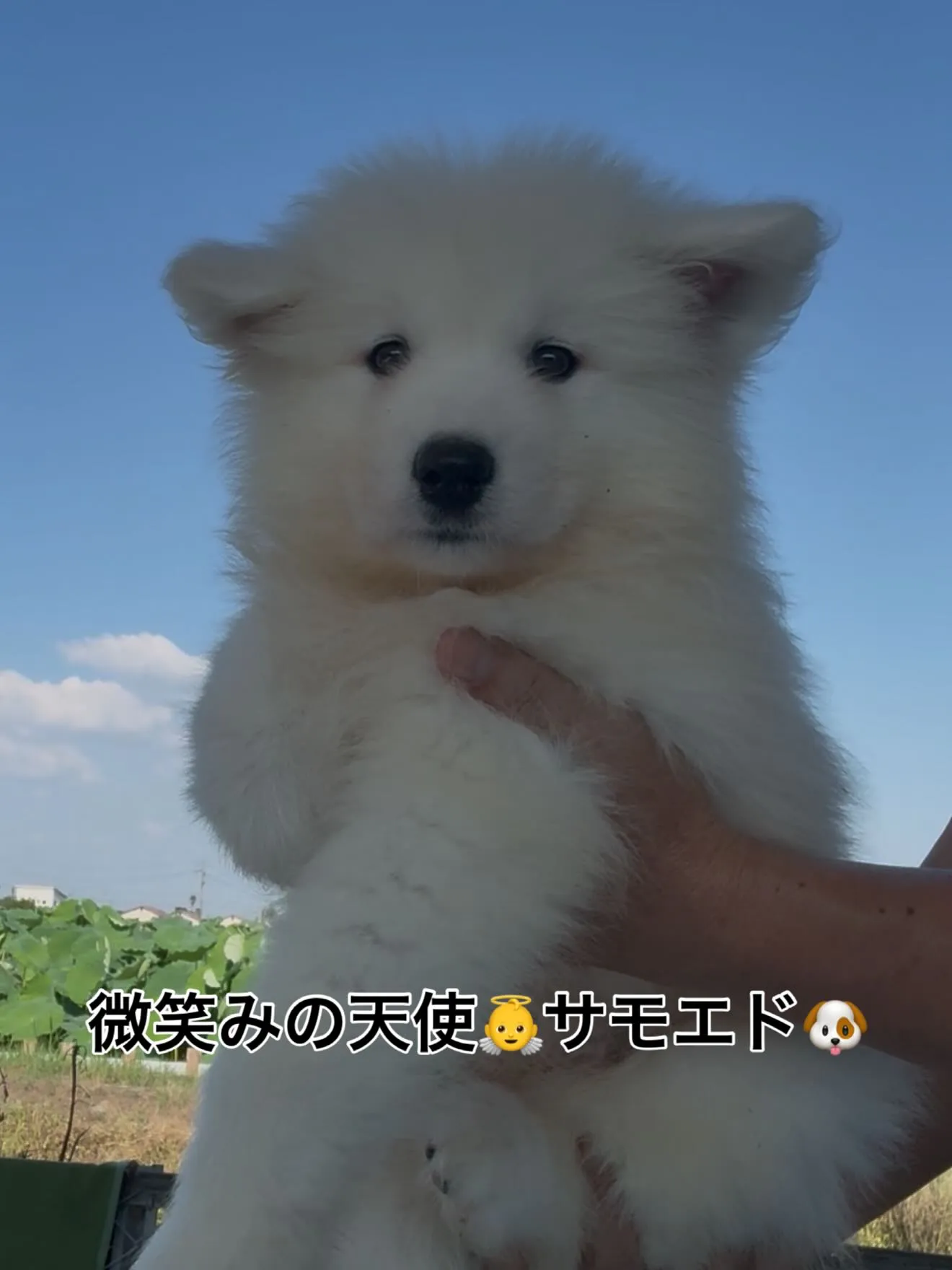 凄い子達がやって参りました😌　