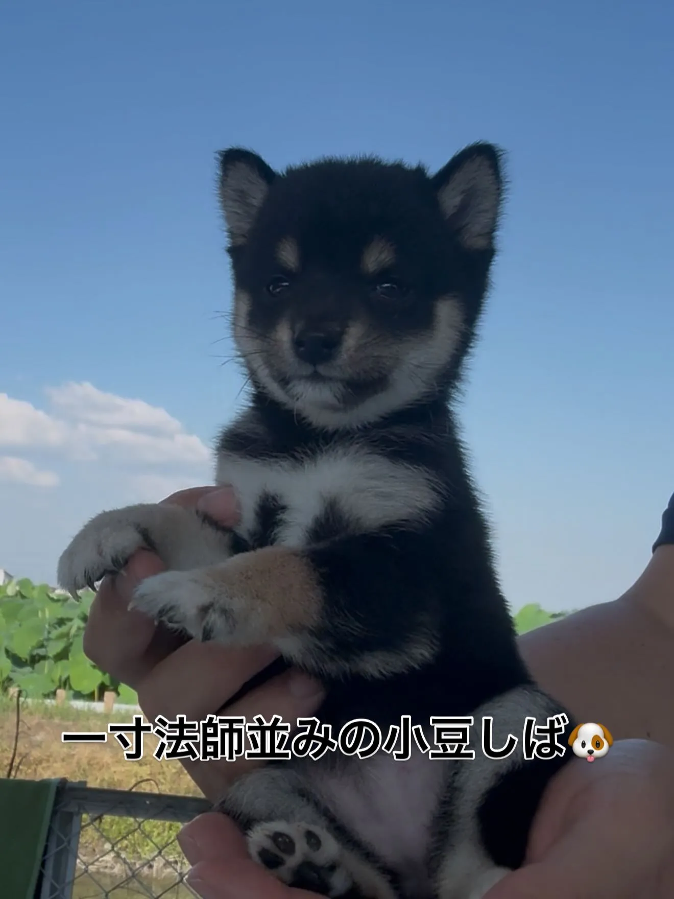 凄い子達がやって参りました😌　