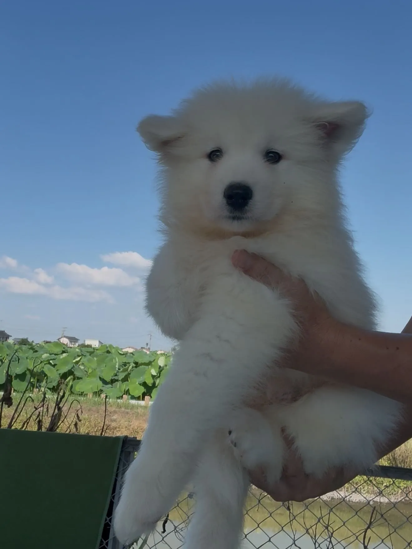 凄い子達がやって参りました😌　