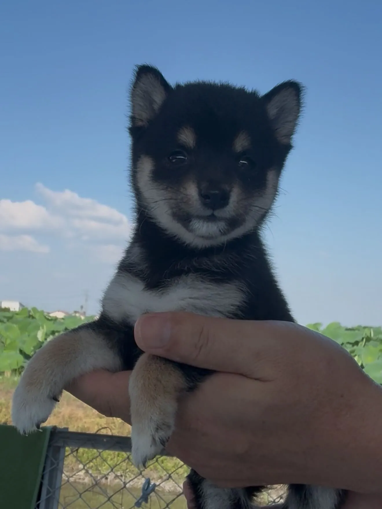 凄い子達がやって参りました😌　