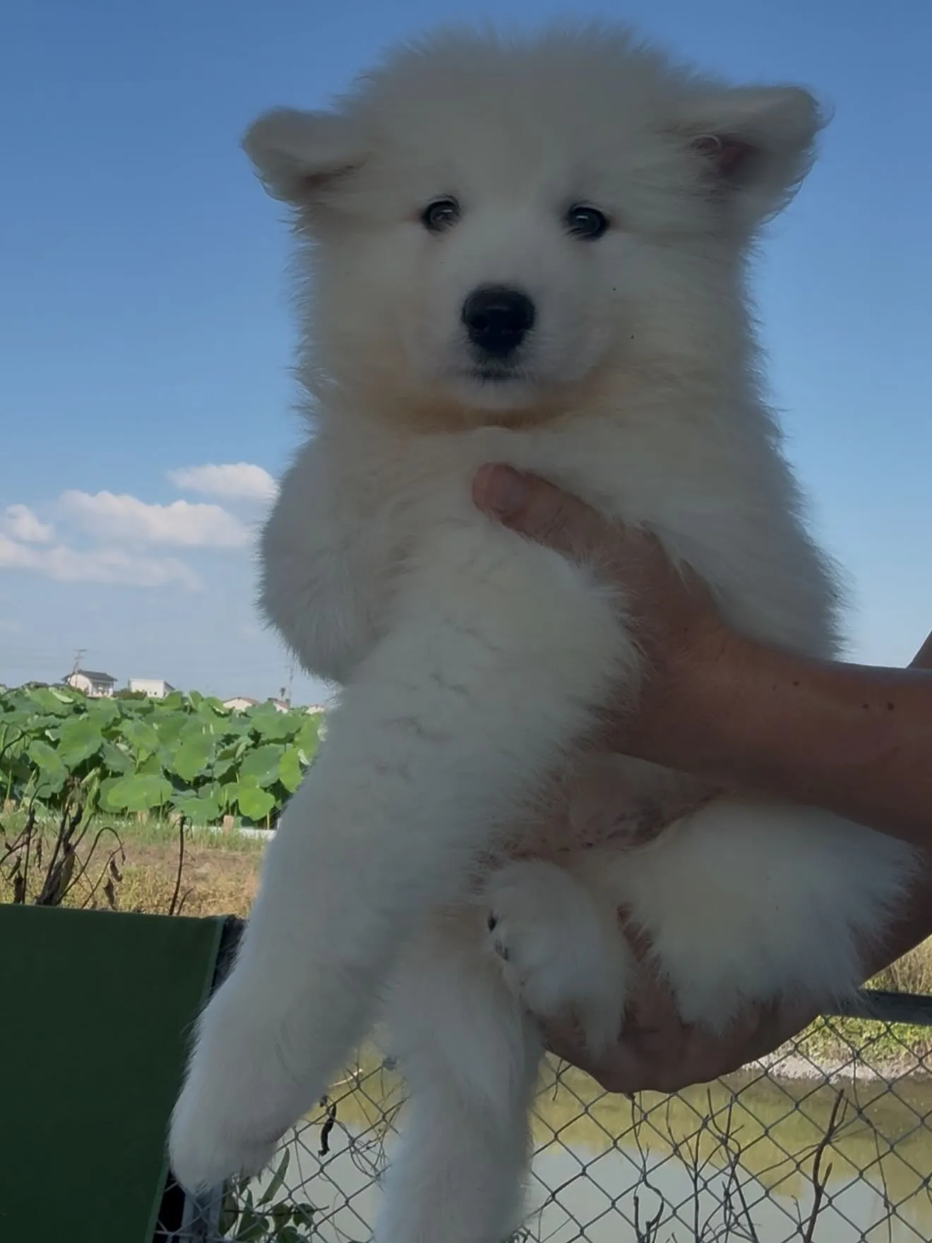 凄い子達がやって参りました😌　