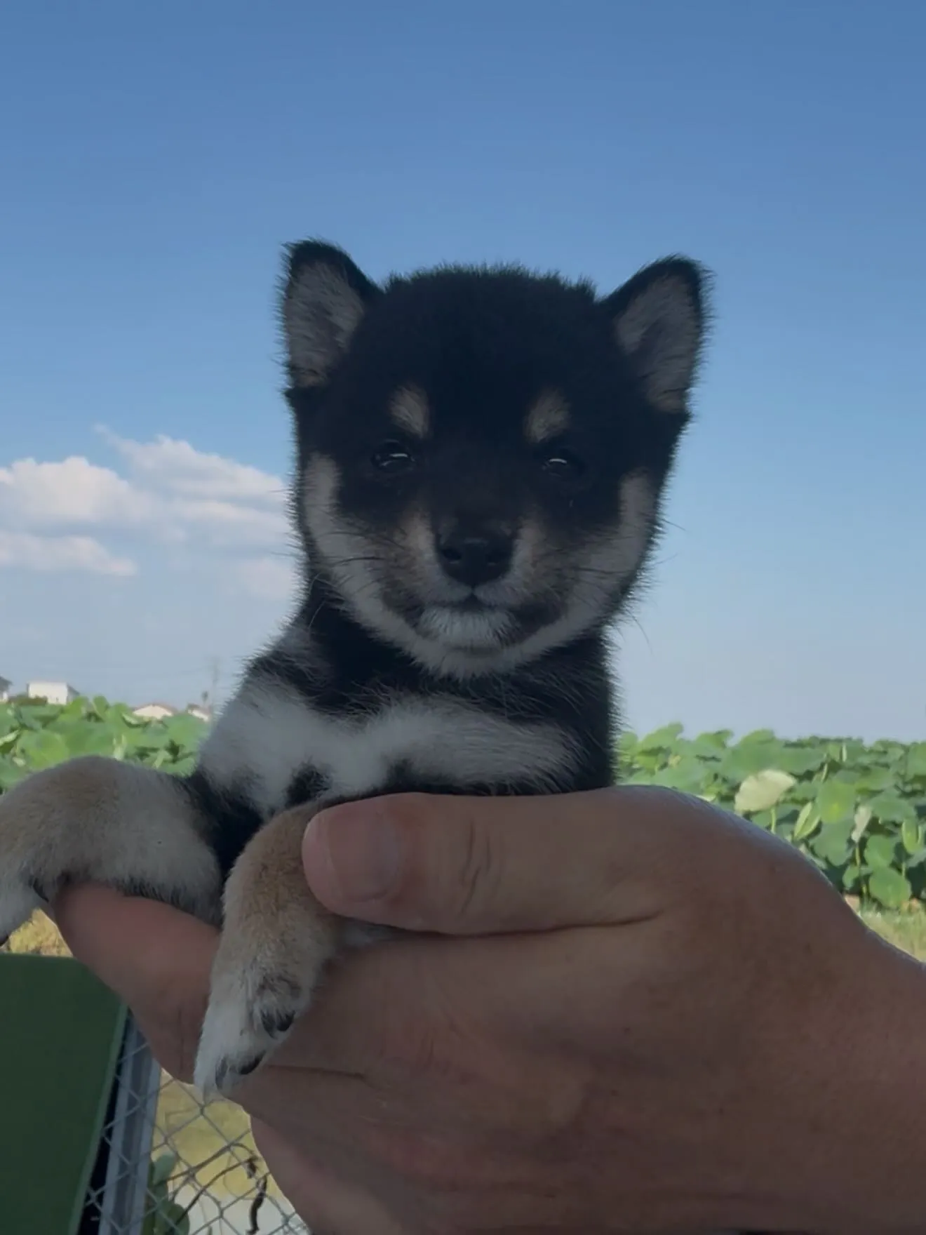 凄い子達がやって参りました😌　