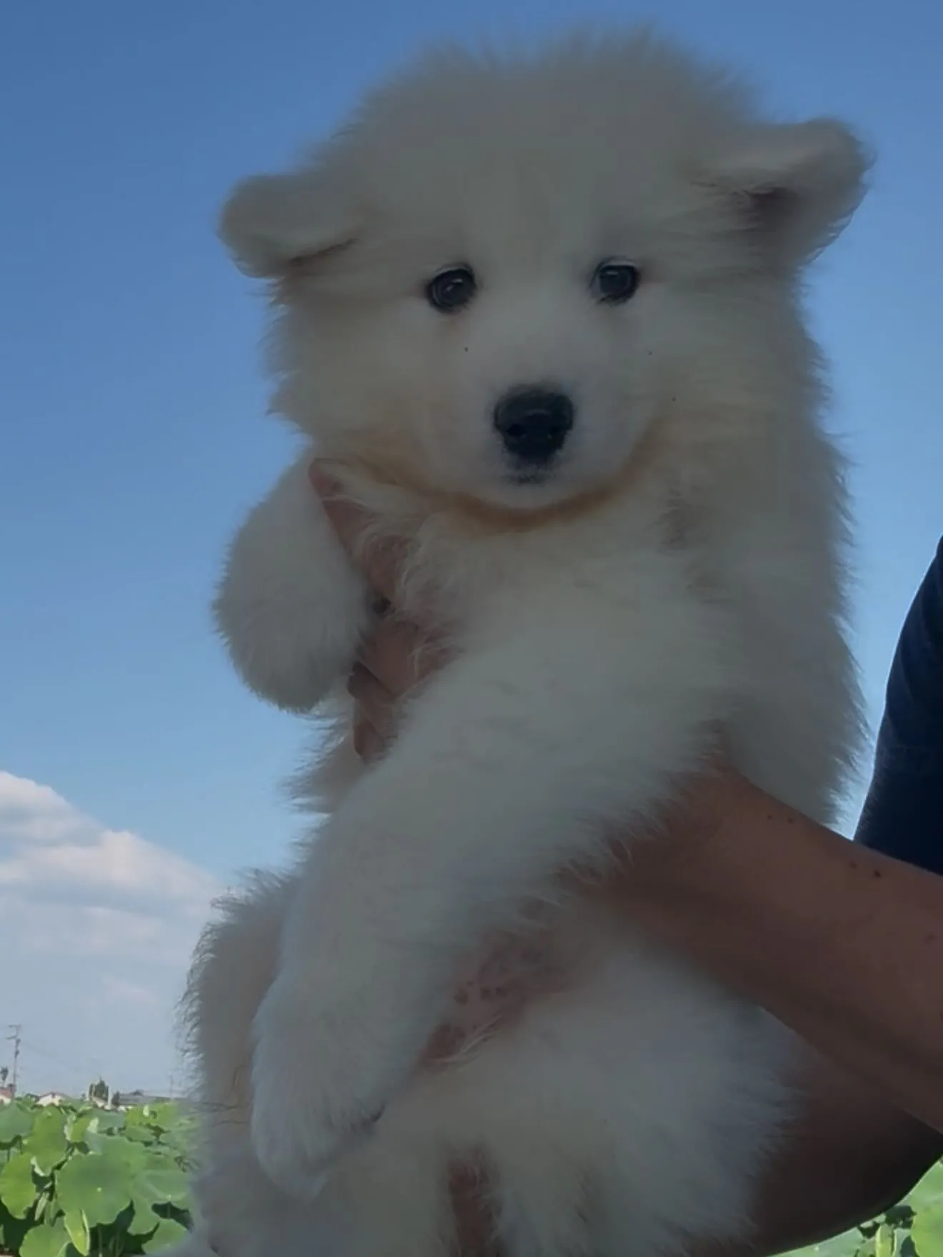 凄い子達がやって参りました😌　