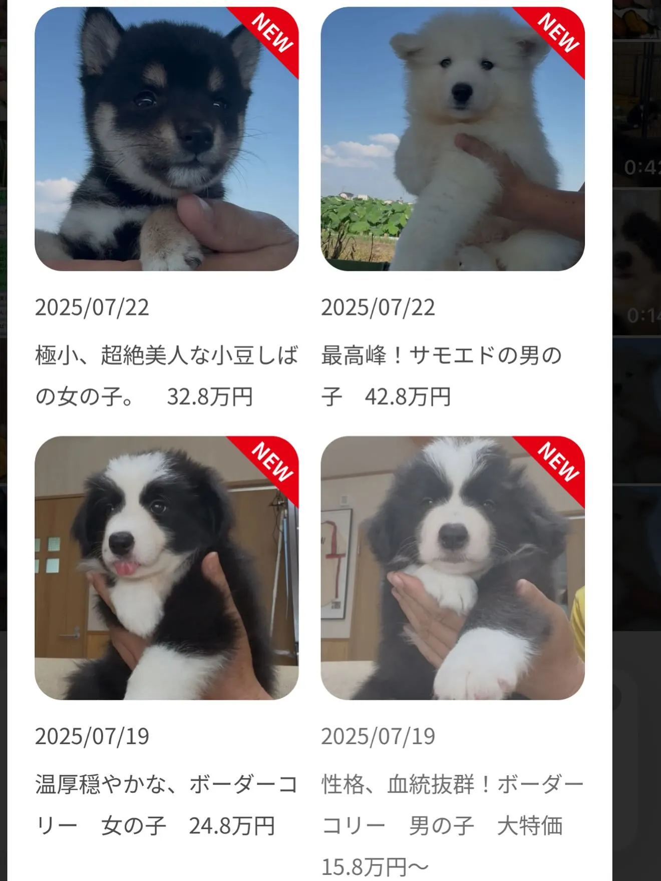 凄い子達がやって参りました😌　