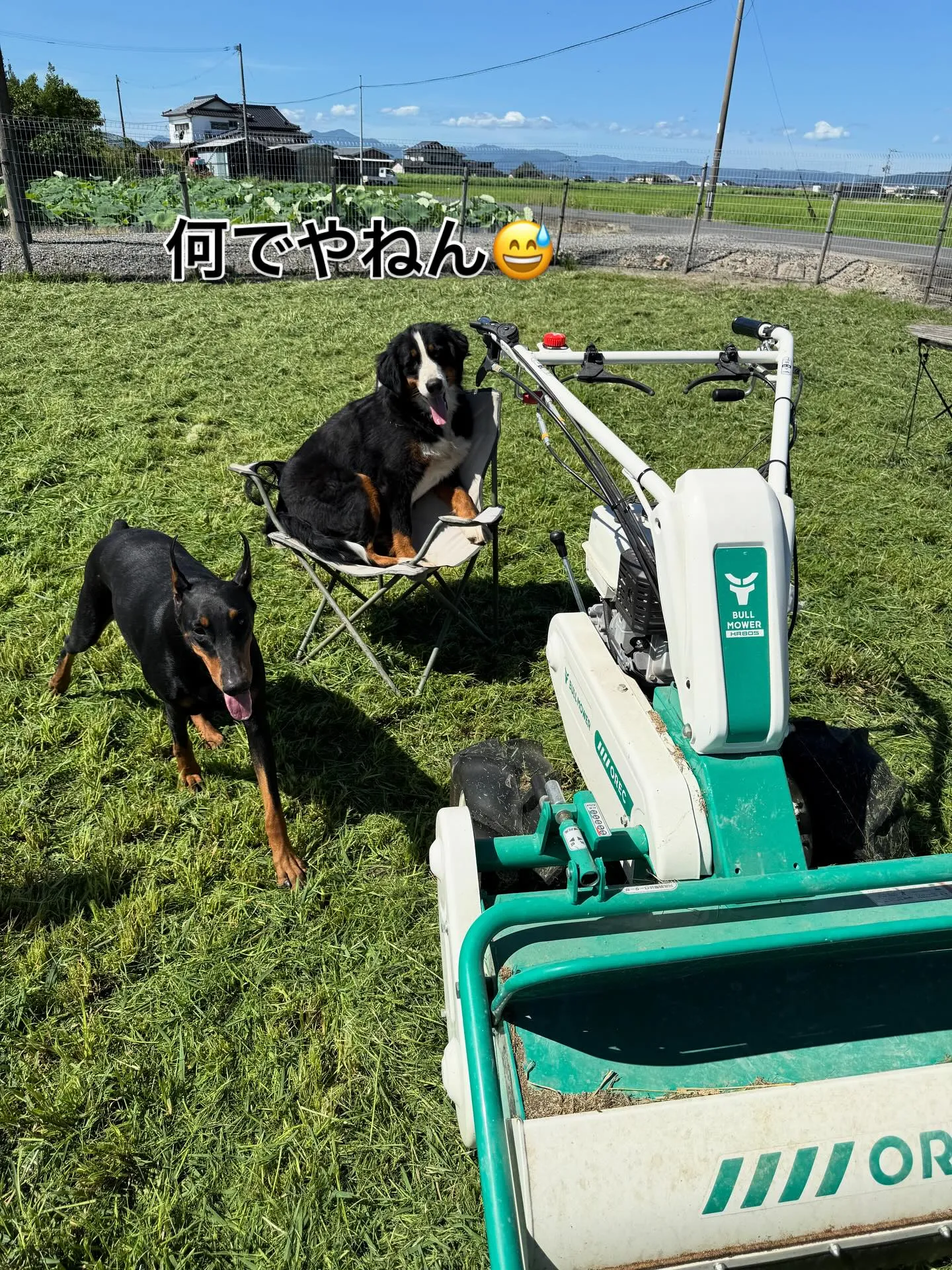 ひとだんらく😌　　　　休憩☕️