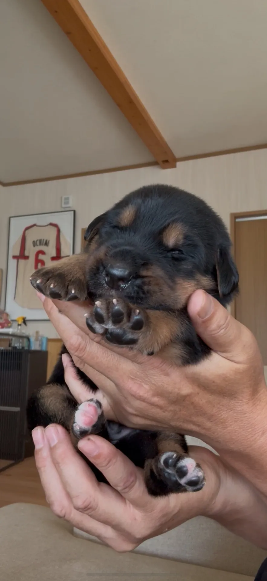 ご家族が決まりました。県内お客様ありがとうございました。
