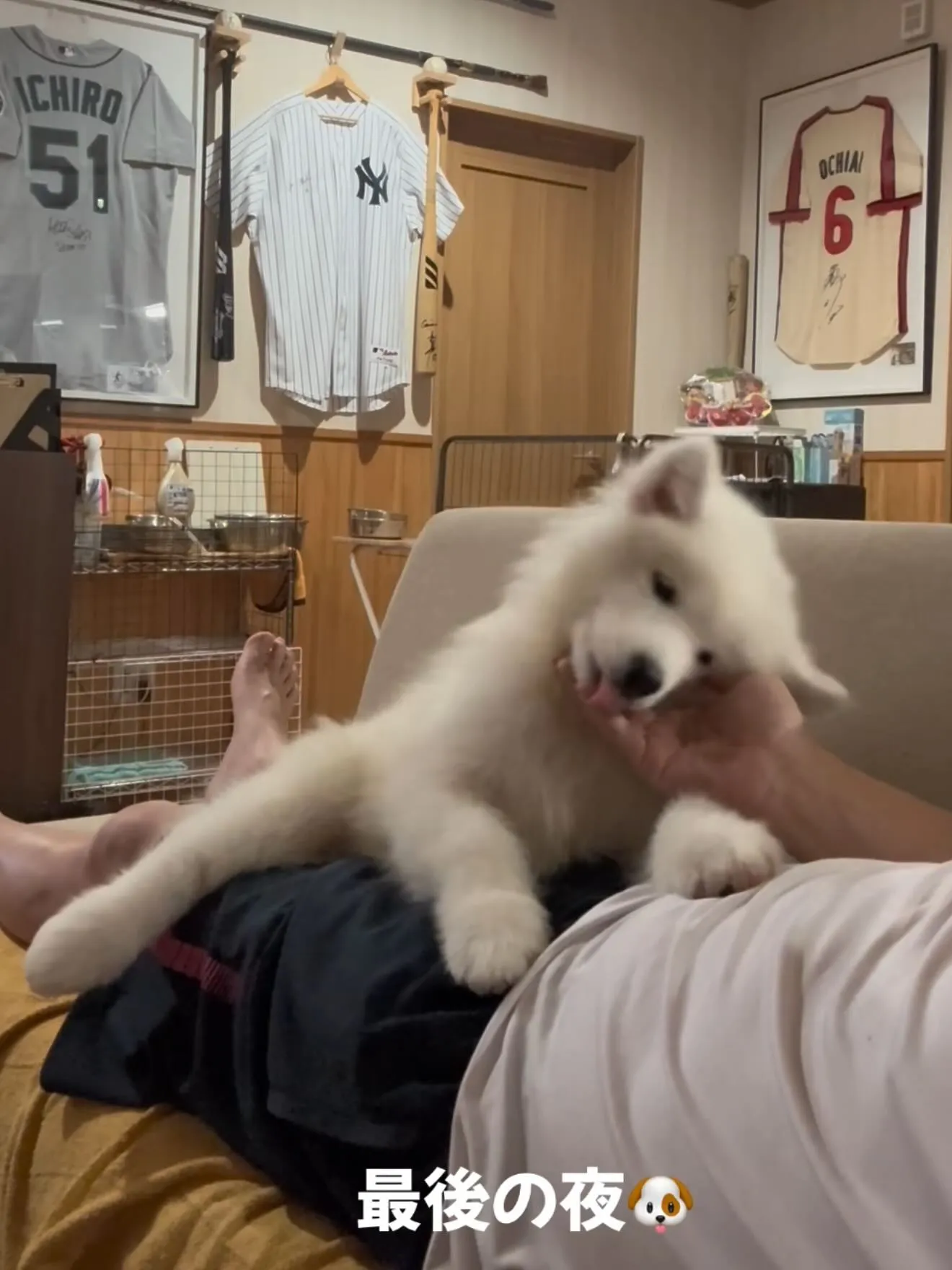 おはようございます。