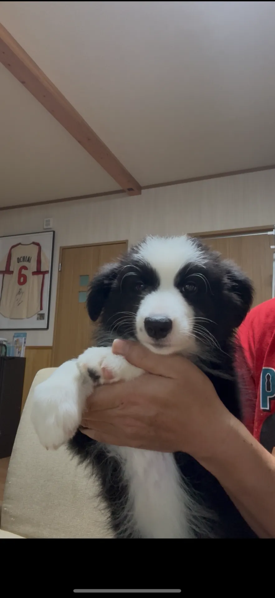 ご家族が決まりました。鹿島市お客様ありがとうございます。