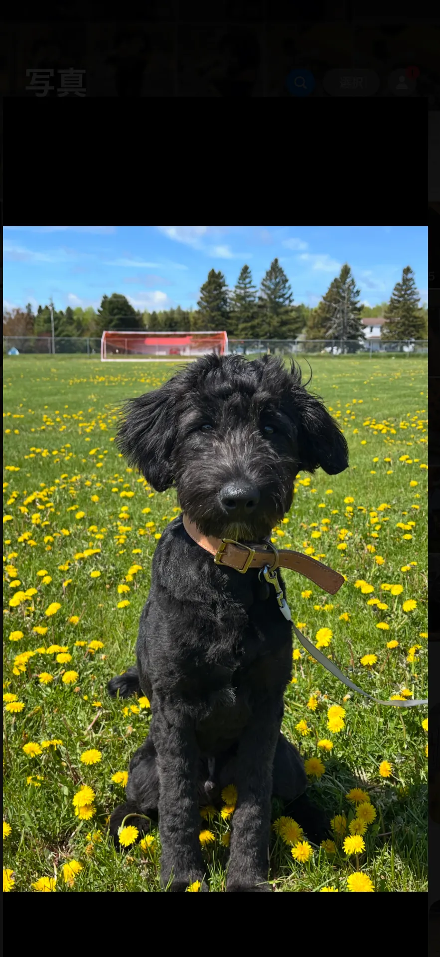 初めての欧米のお客様 カナダ🇨🇦 富士丸 ボードゥードゥル