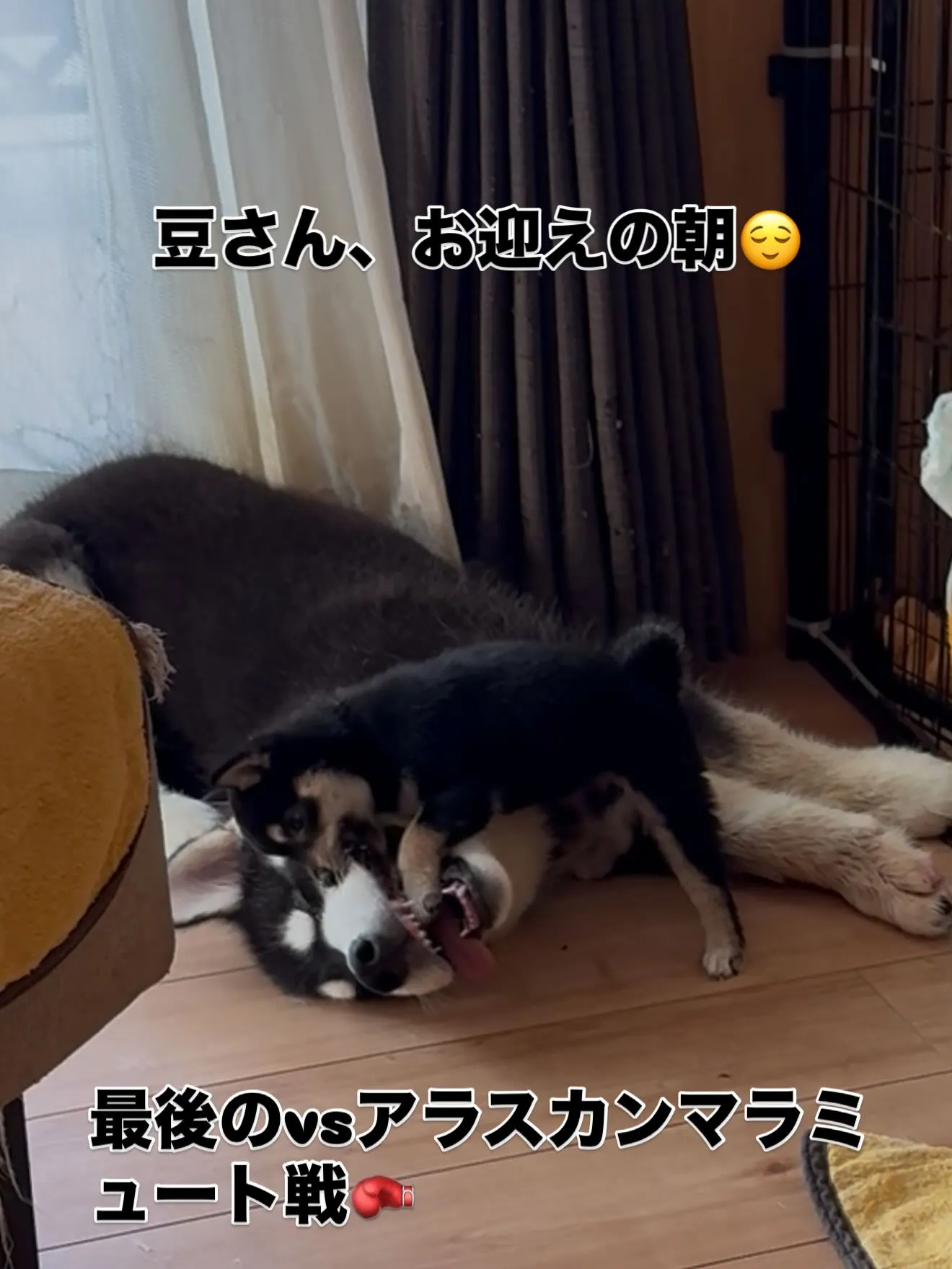 おはようございます。