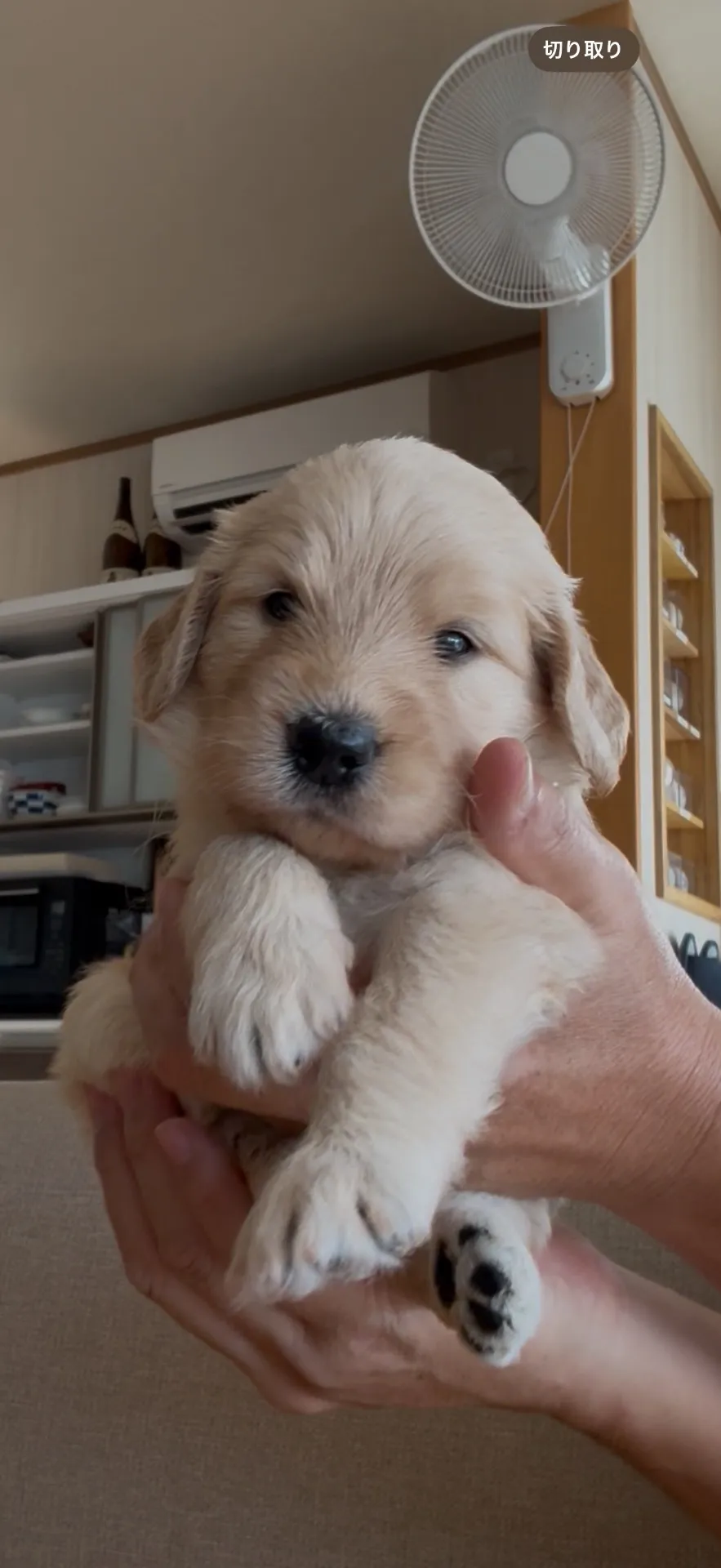 ご家族が決まりました。県内お客様ありがとうございました。