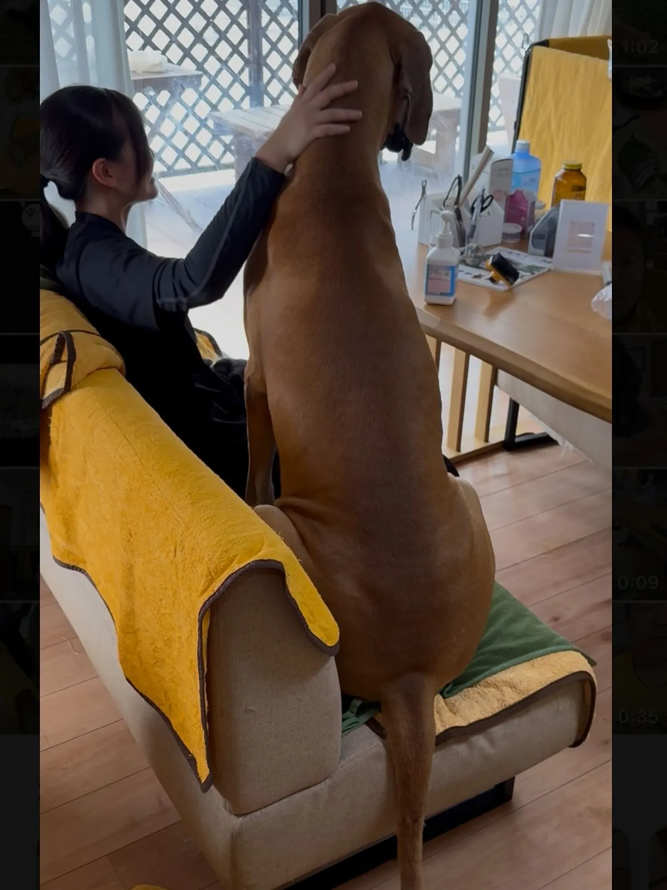 午前のひととき🐶