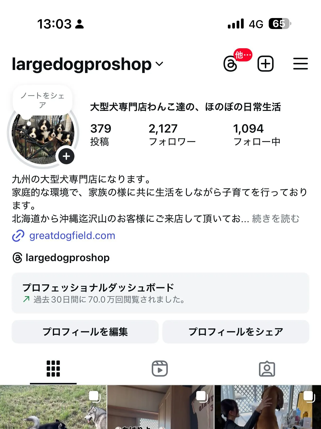 23万人を突破しました🐶