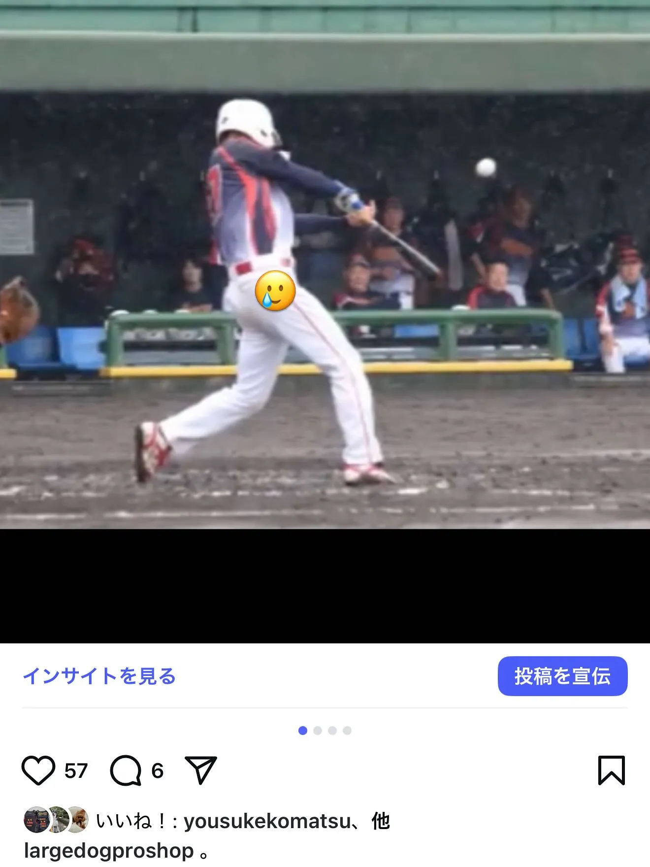 23万人を突破しました🐶