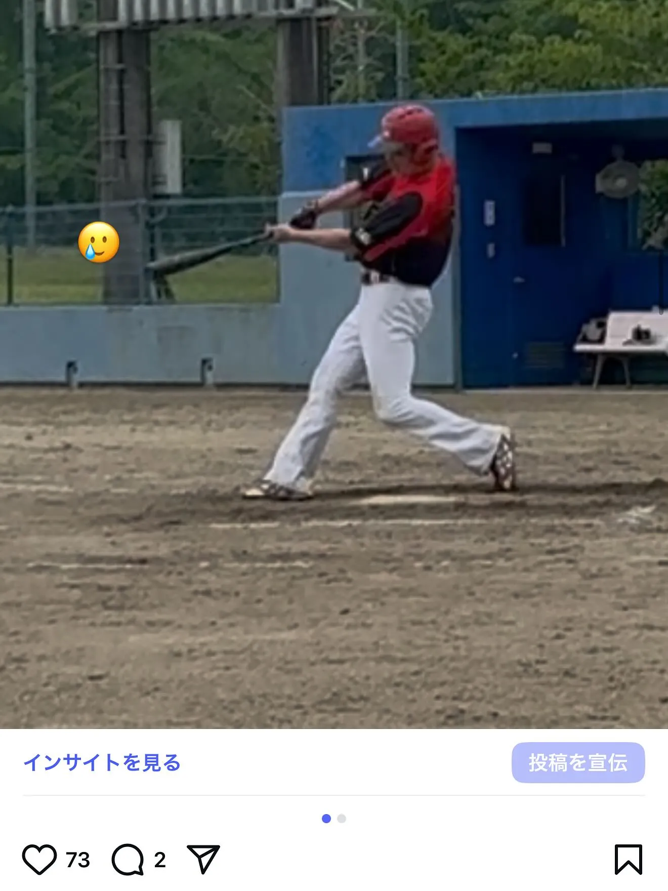 23万人を突破しました🐶