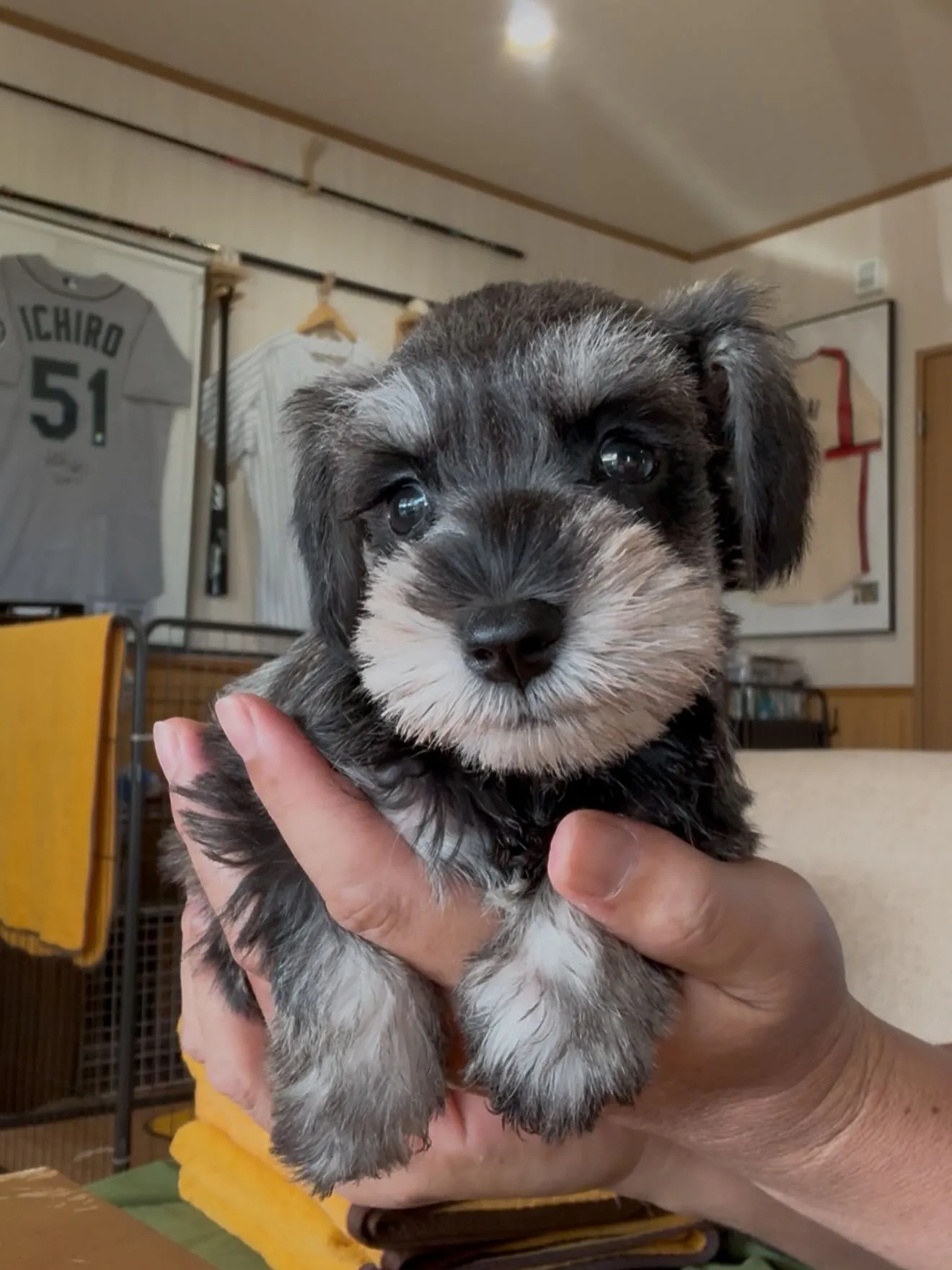おはようございます☀