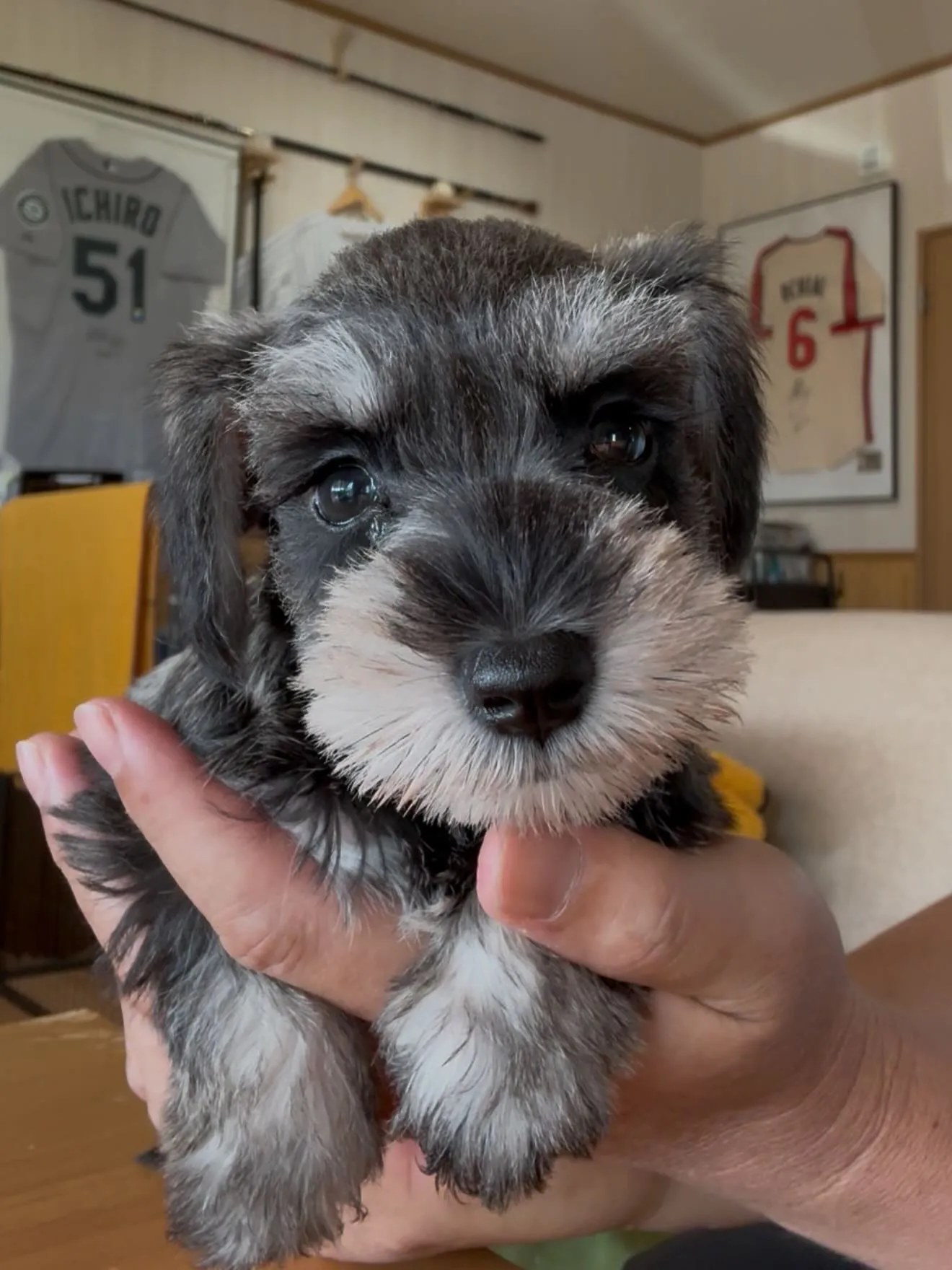 おはようございます☀