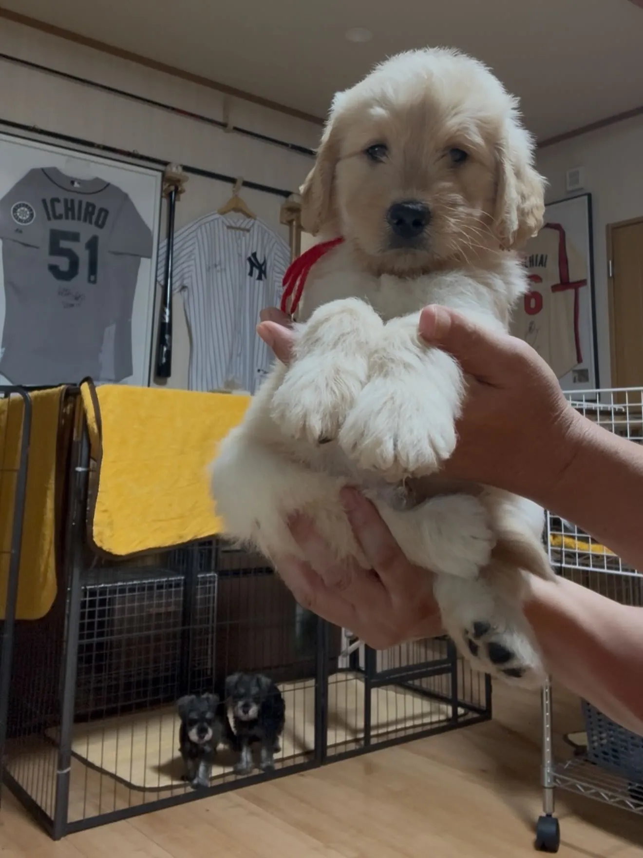 今日も一日お疲れ様でした🐶😌