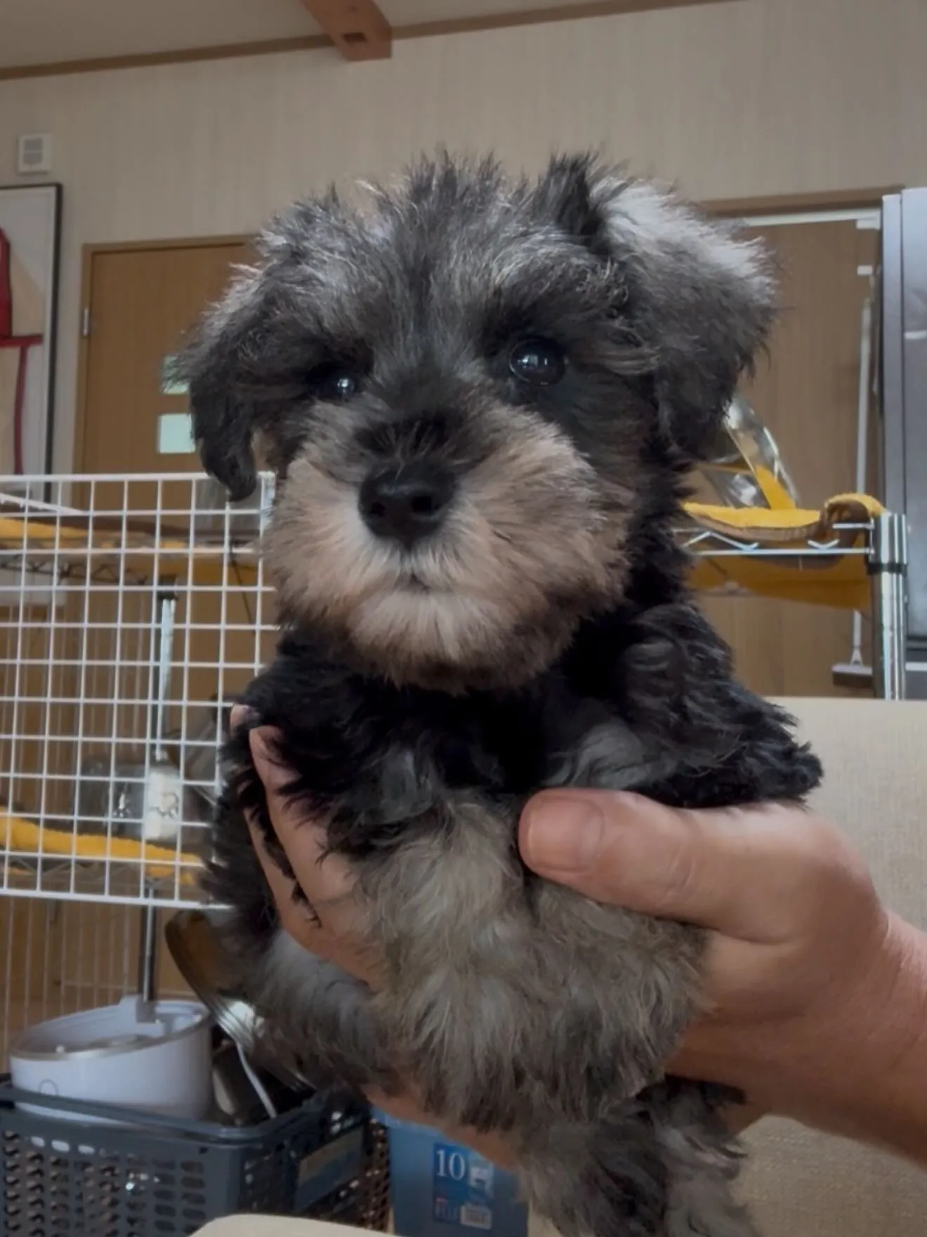 今日も一日お疲れ様でした🐶😌