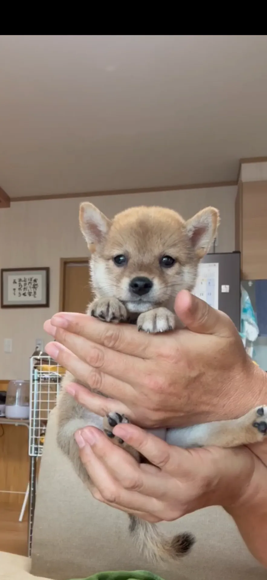 ご家族が決まりました。福岡県お客様ありがとうございました。