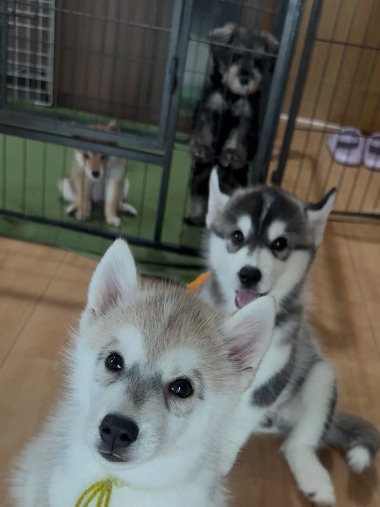 今日も一日お疲れ様でした😌