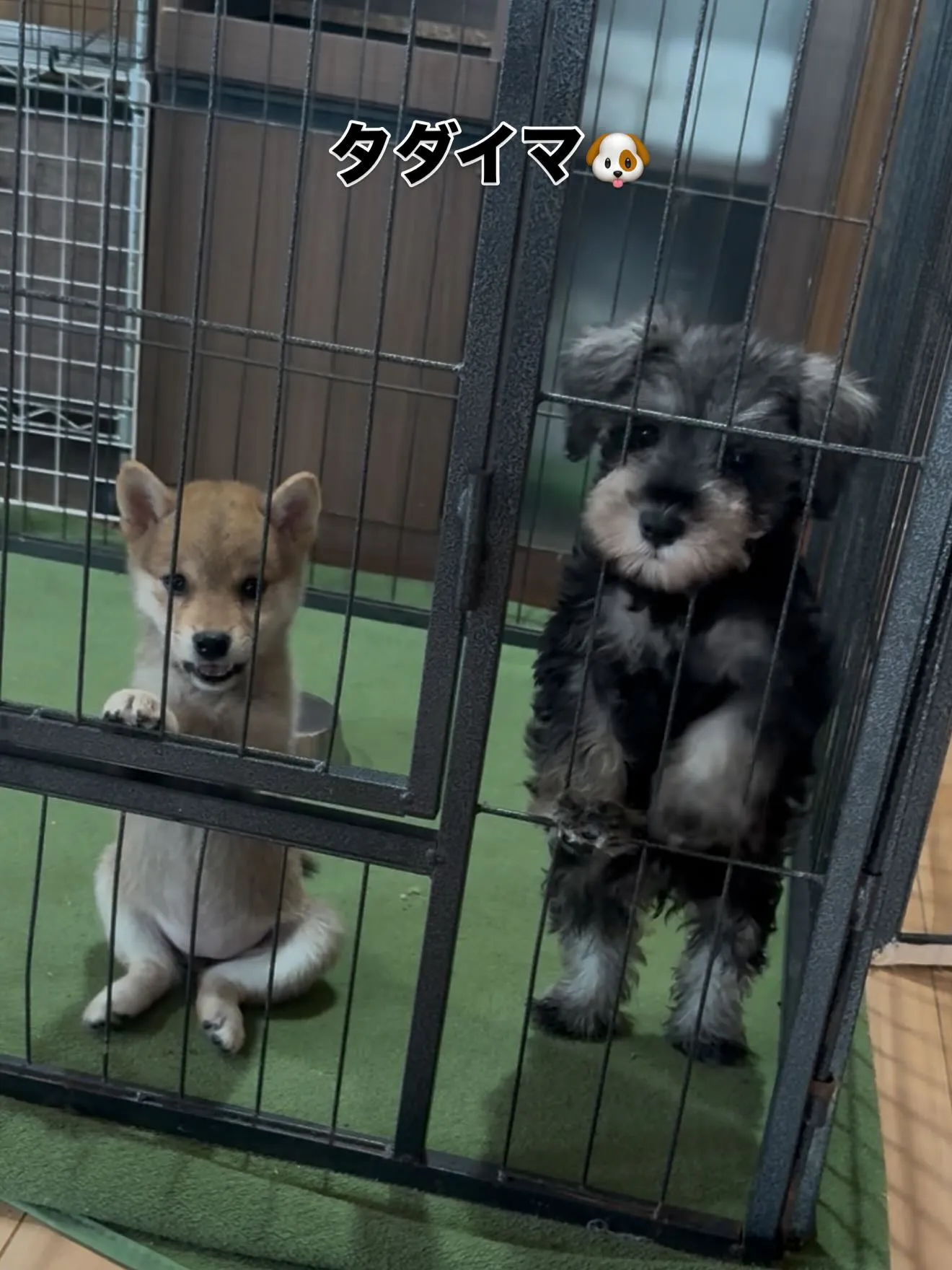 フラフラになって帰宅しました🏠