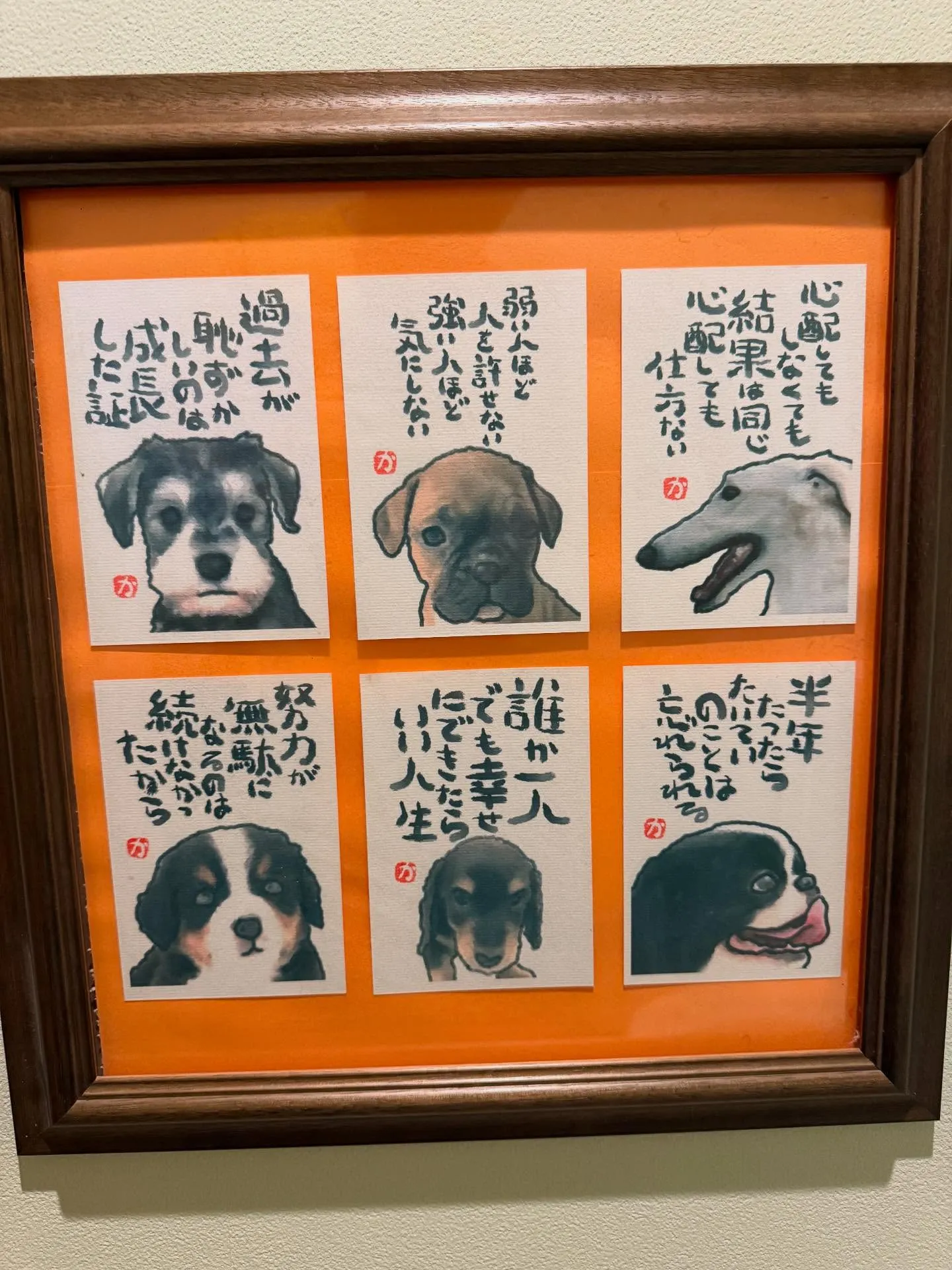 ごえもん、元気にしてるかな😅