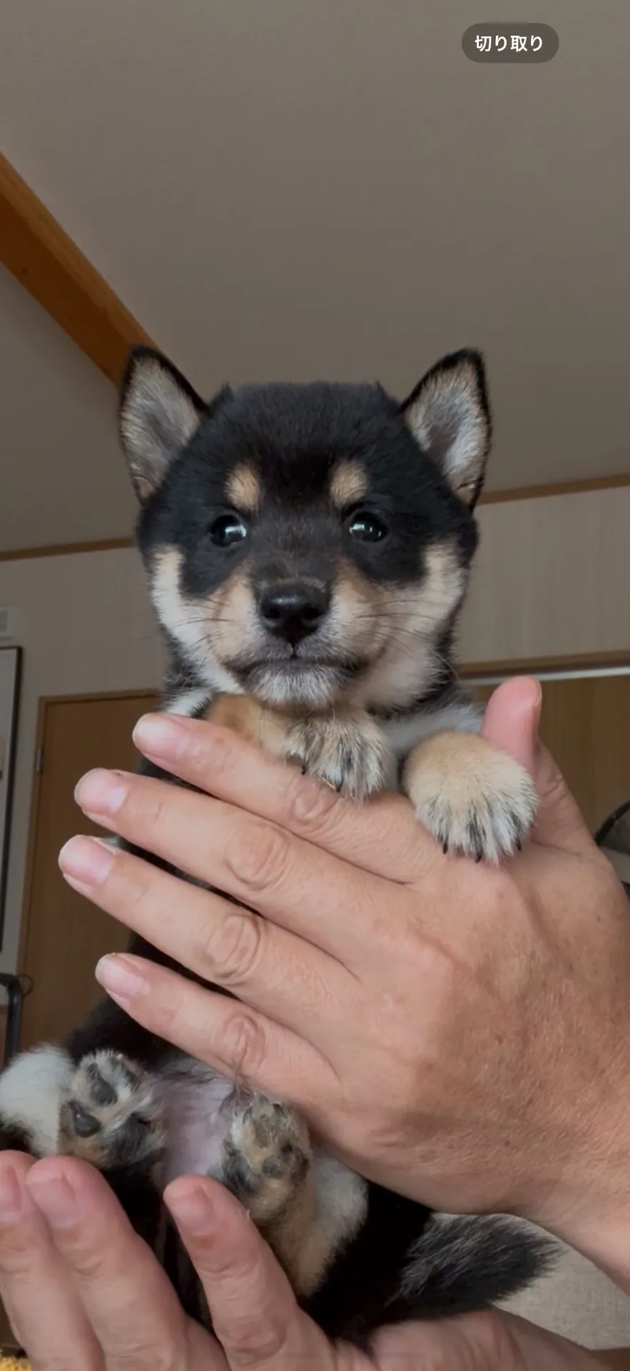 ご家族が決まりました。鹿島市お客様ありがとうございました。