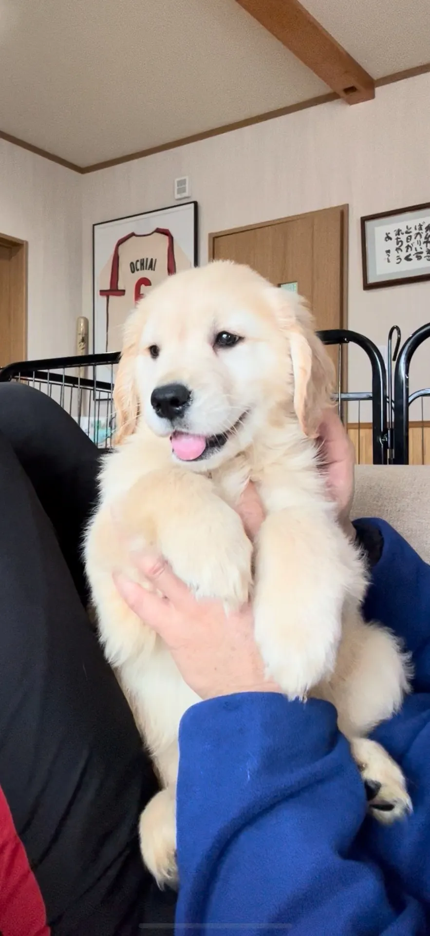 ご家族が決まりました。富山県お客様ありがとうございました。