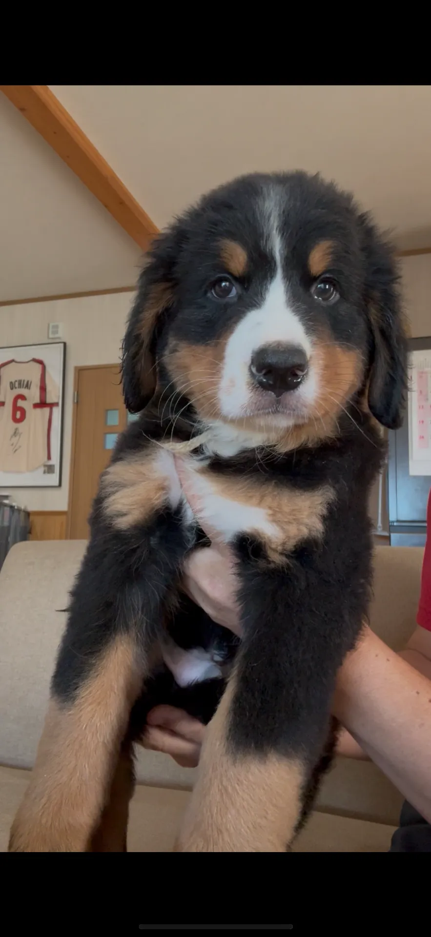 ご家族が決まりました。岡山県お客様ありがとうございました。