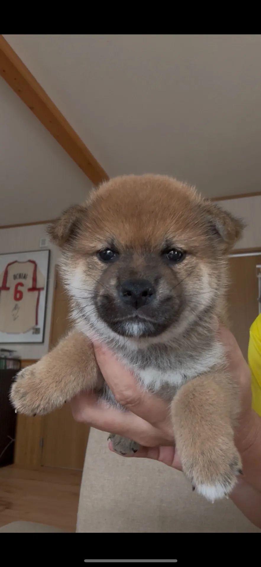 ご家族が決まりました。福岡県お客様ありがとうございました。