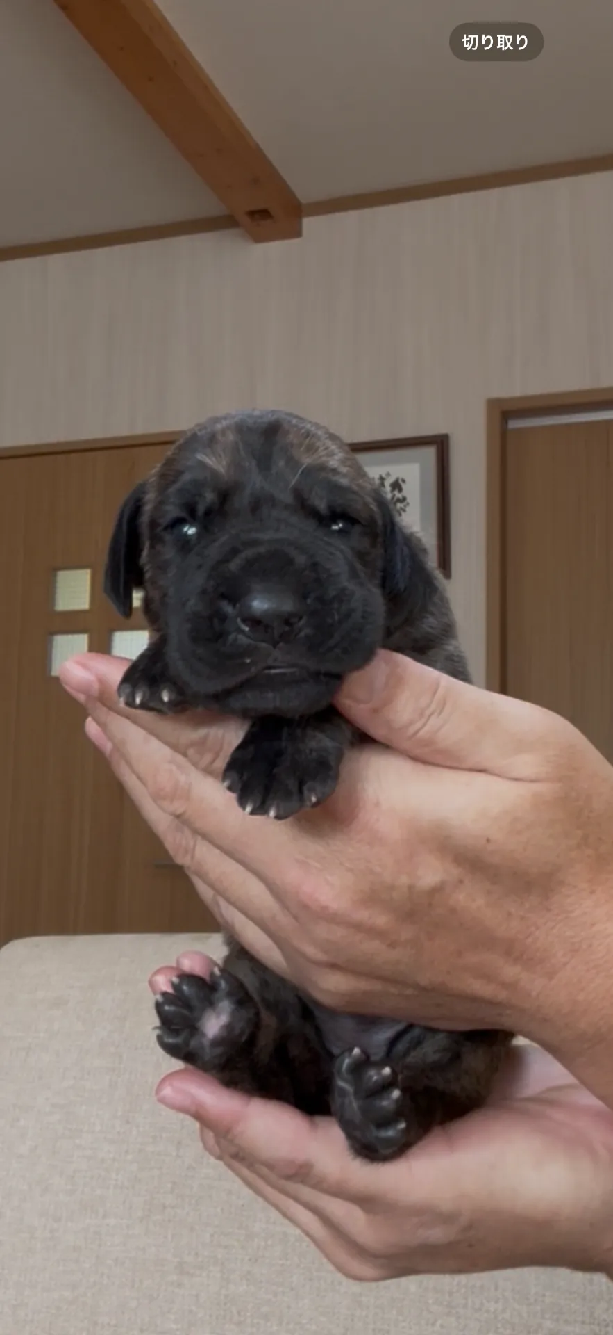 ご家族が決まりました。旭川市お客様ありがとうございました。