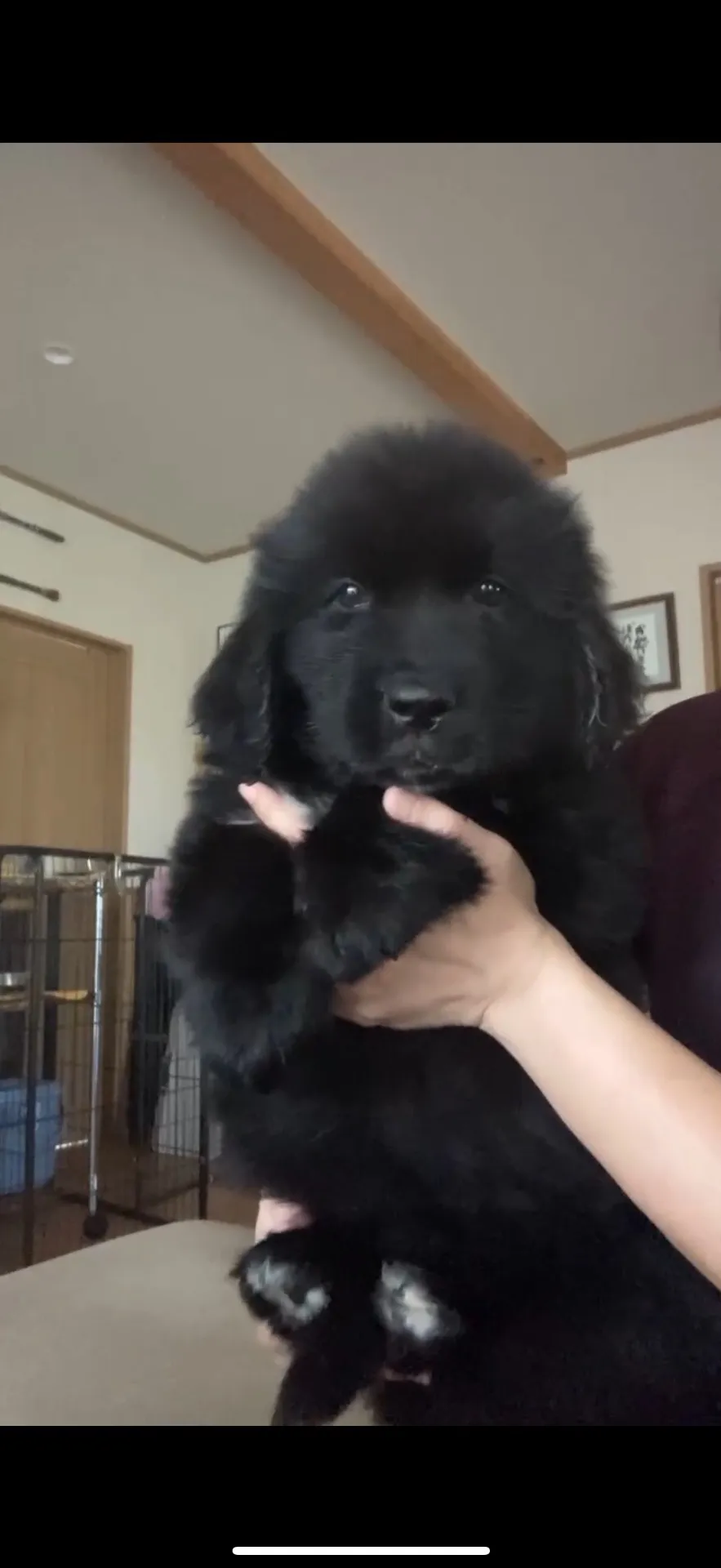 ご家族が決まりました。東京都お客様ありがとうございました。