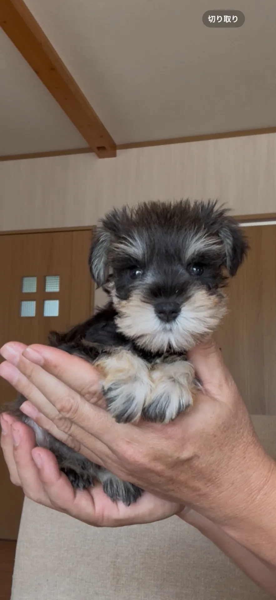 ご家族が決まりました。佐賀市お客様ありがとうございました。