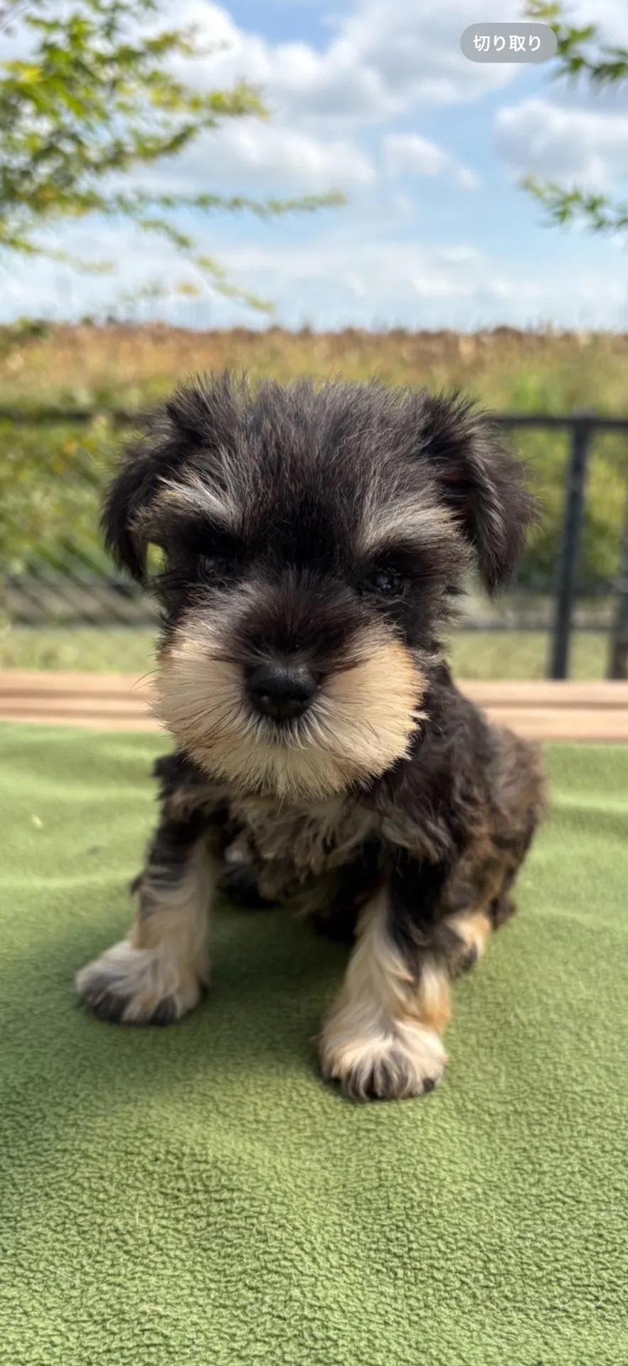 ご家族が決まりました。県内お客様ありがとうございました。