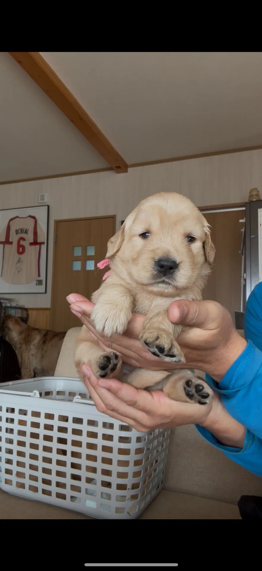 ご家族が決まりました。長崎県お客様ありがとうございました。