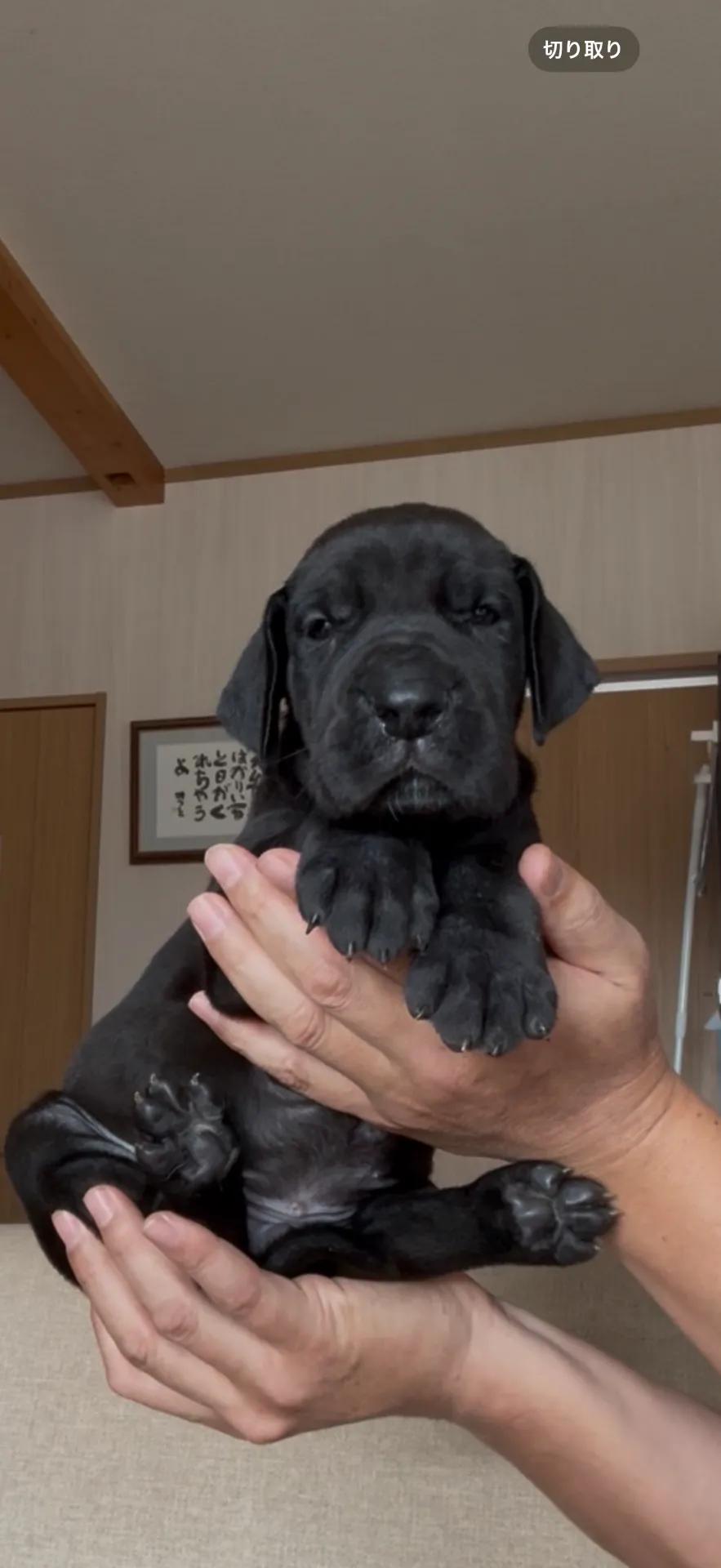 ご家族が決まりました。福岡県お客様ありがとうございました。